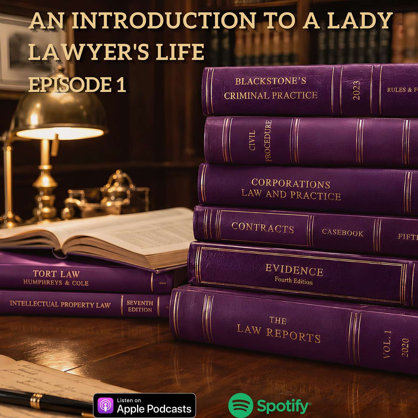 An introduction to a lady lawyer's life episode artwork
