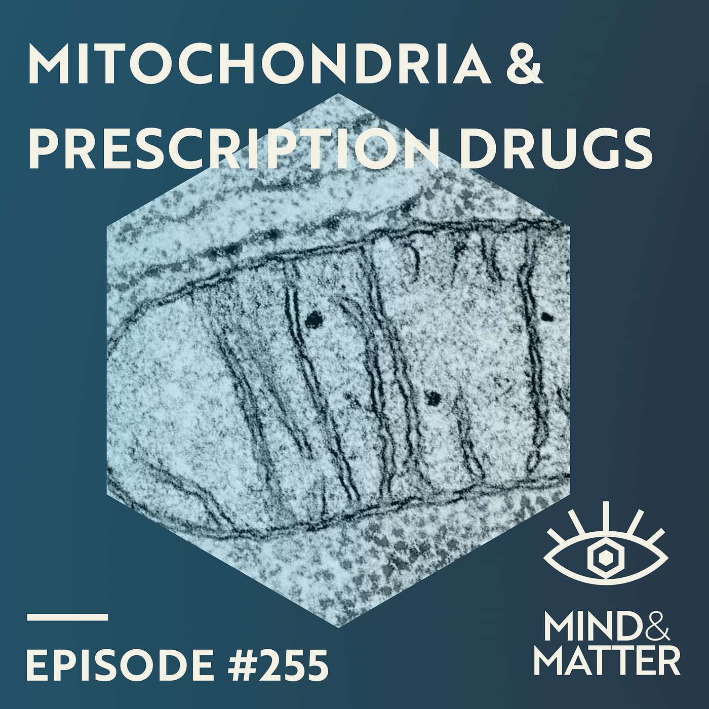 Unlocking Energy: How Nutrition & Drugs Impact Your Mitochondria | Chris Masterjohn | 255