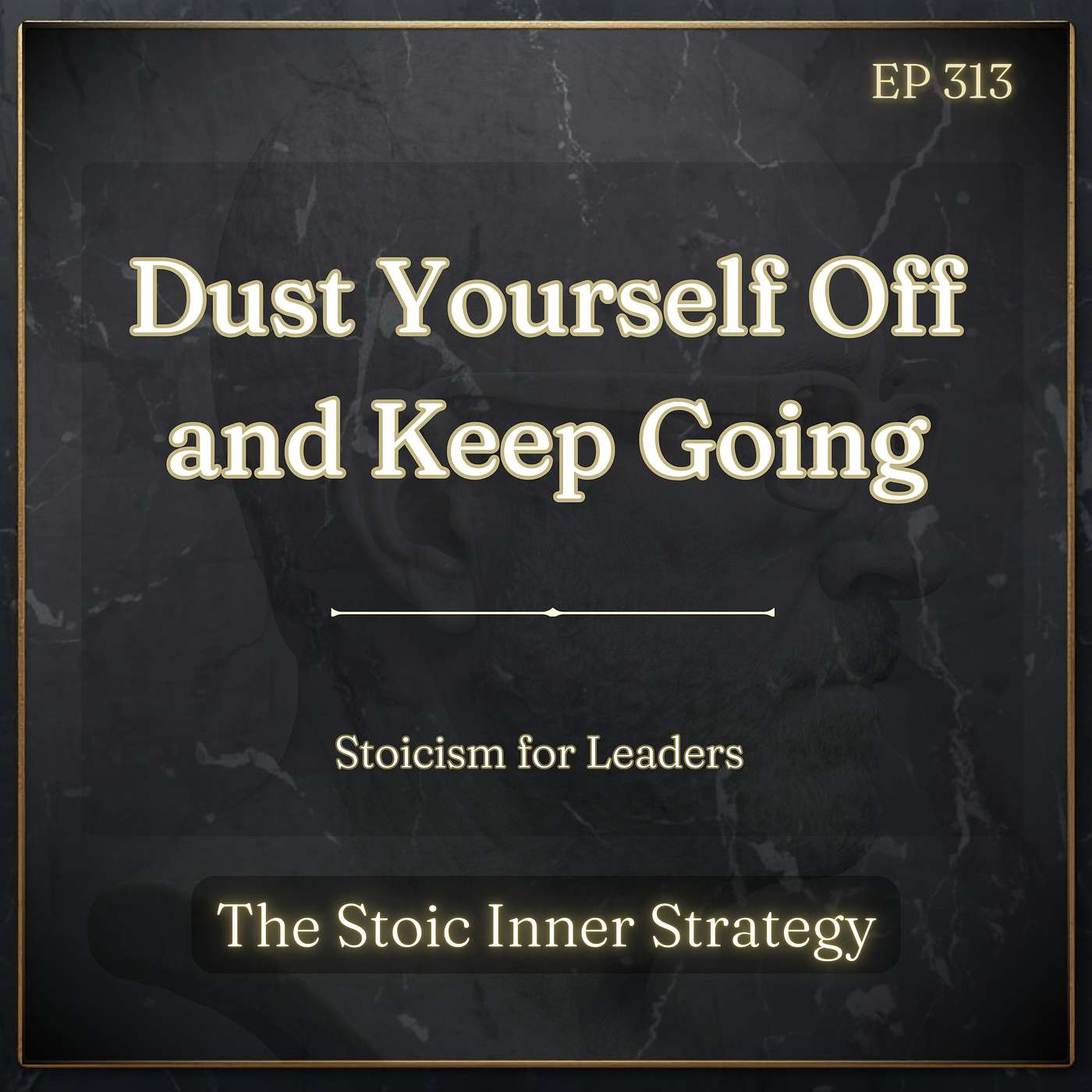 Ep 313 – Dust Yourself Off and Keep Going episode artwork