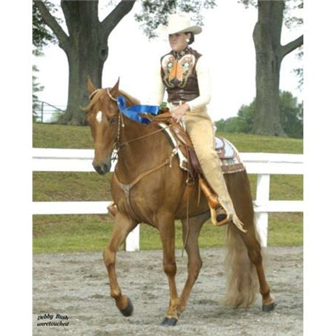 2014 THE YEAR OF THE HORSE and in January THE COWGIRLS RULE