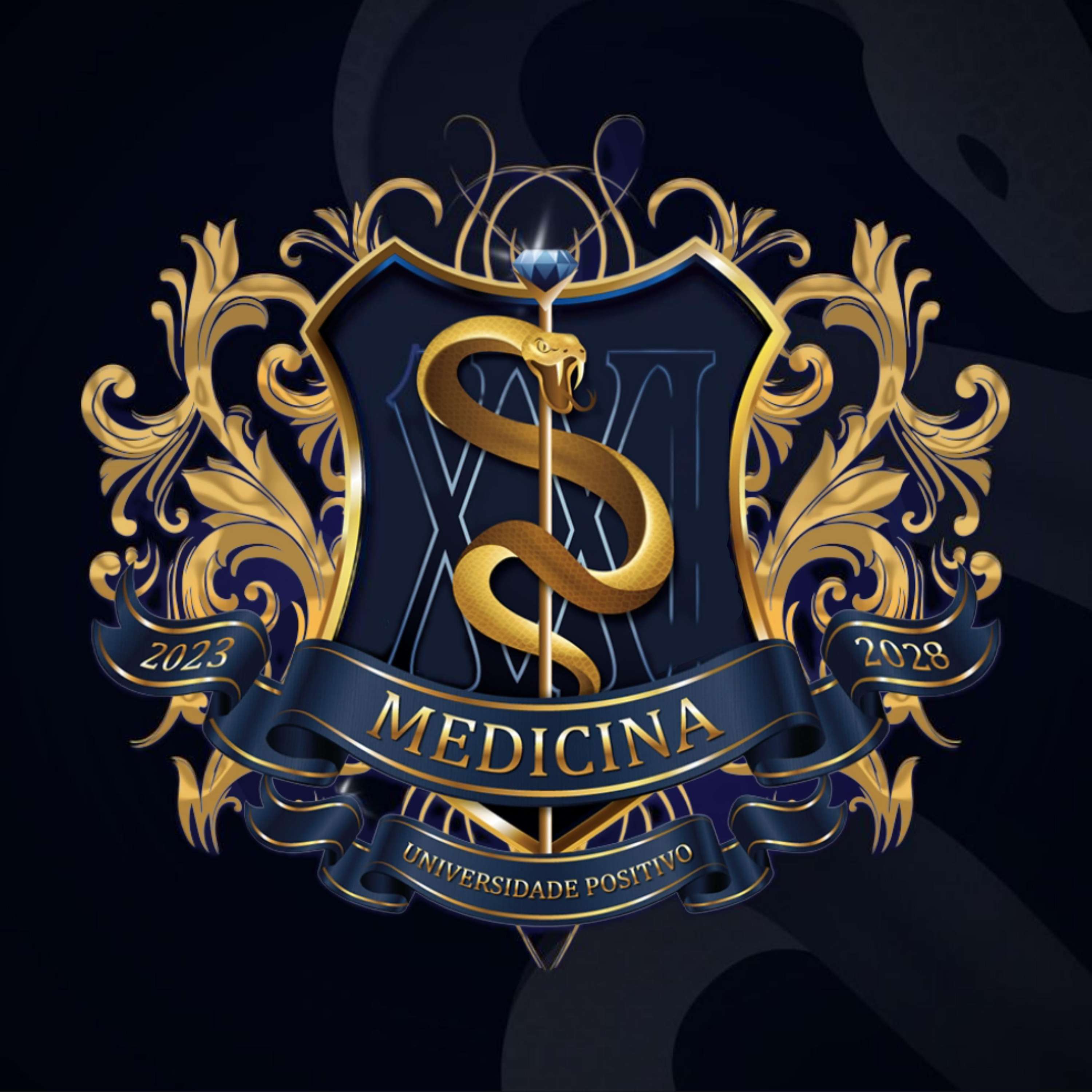 MEDUP XXI