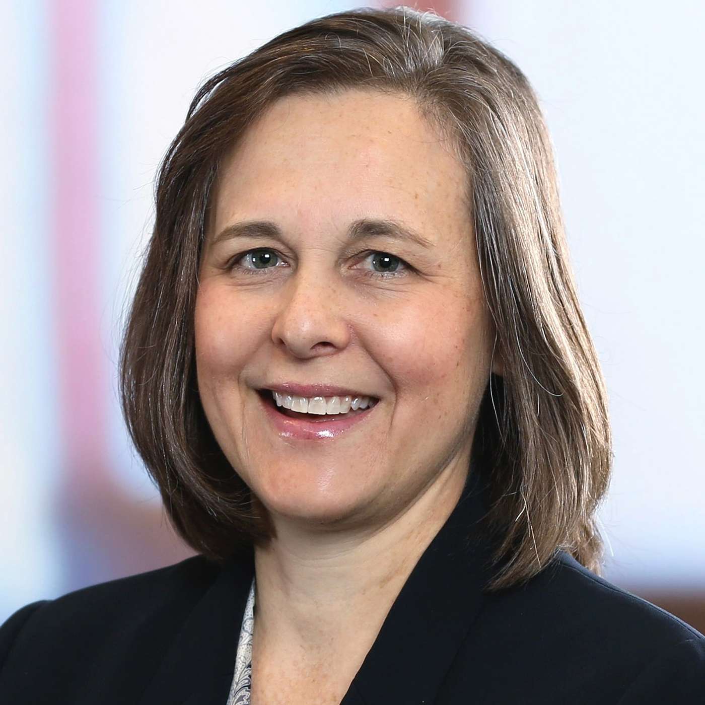 Access to Justice: A Conversation with Pro Bono Lawyer Susan M. Finegan