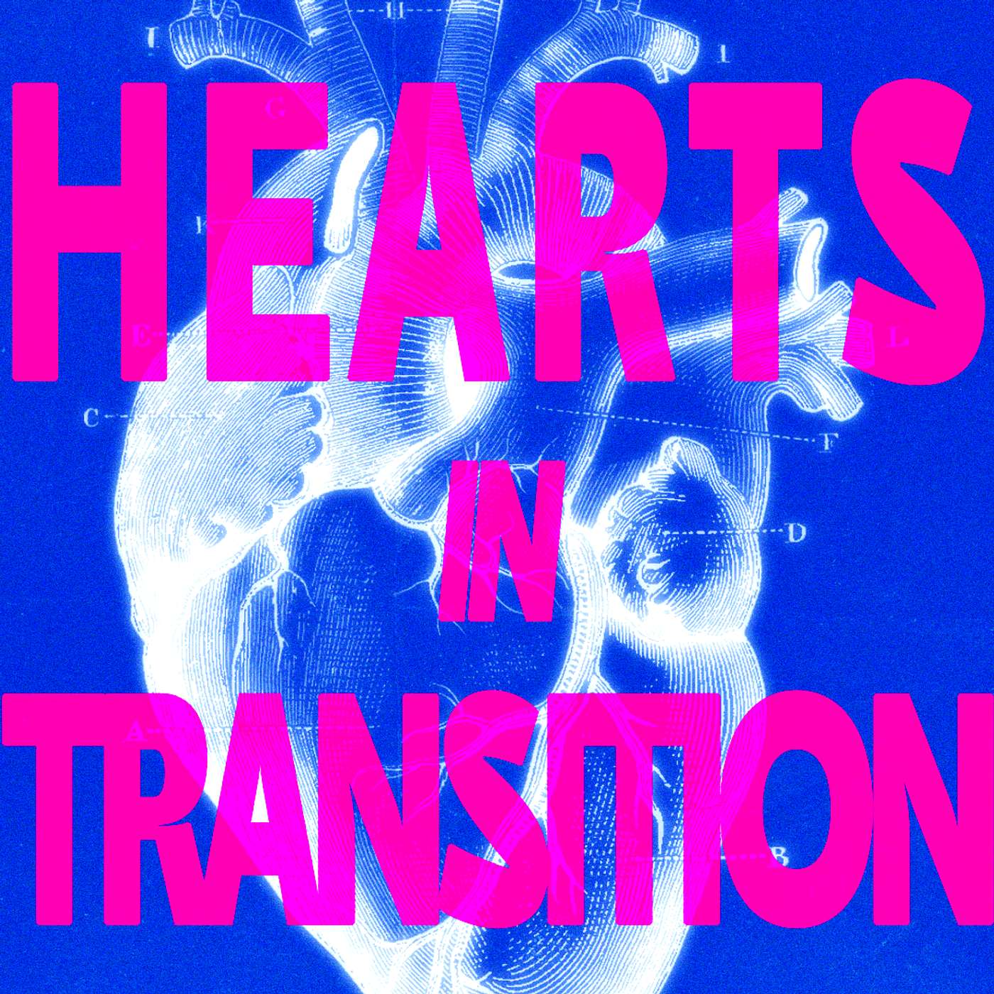 Hearts In Transition 