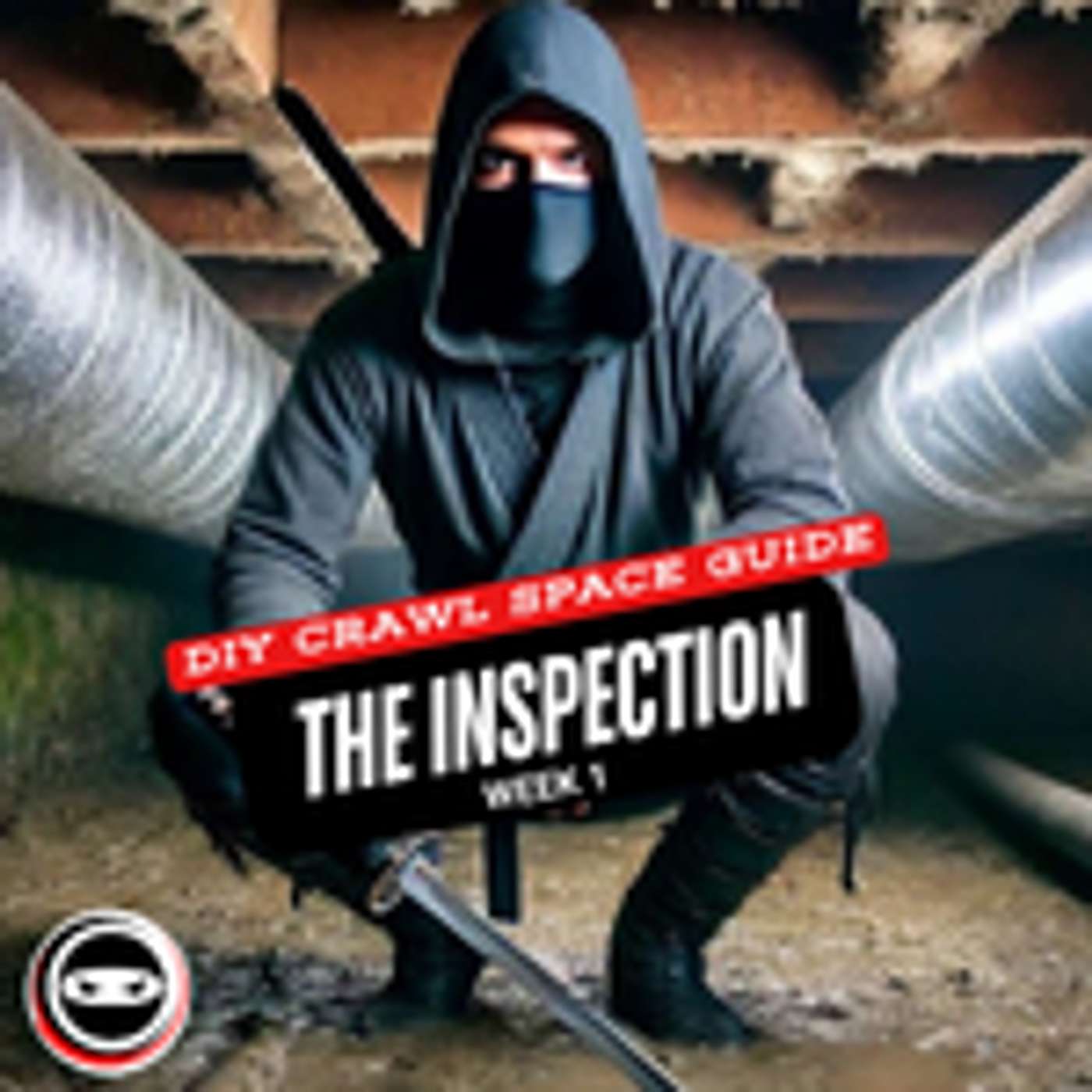 DIY Crawl Space Guide: Inspecting Before Repairing Week 1