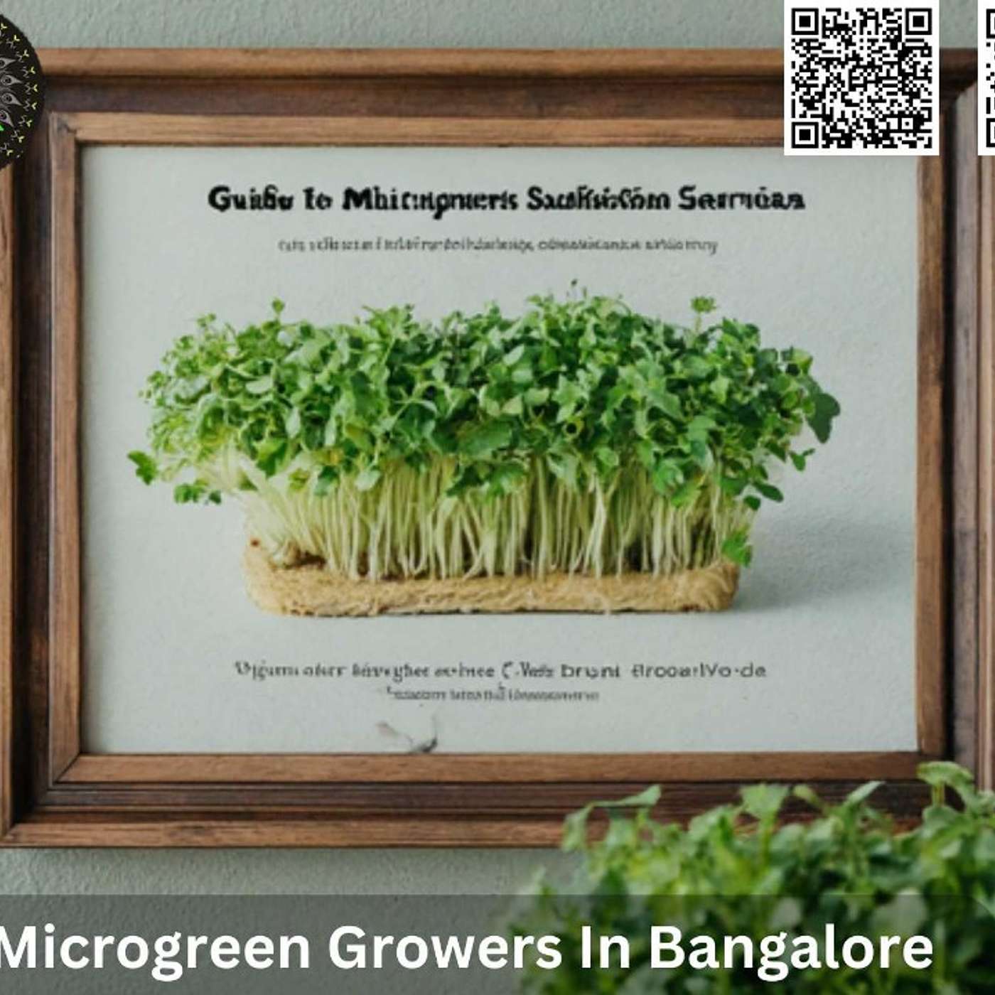 Microgreen Growers in Bangalore: Cultivating Freshness and Flavor in the City