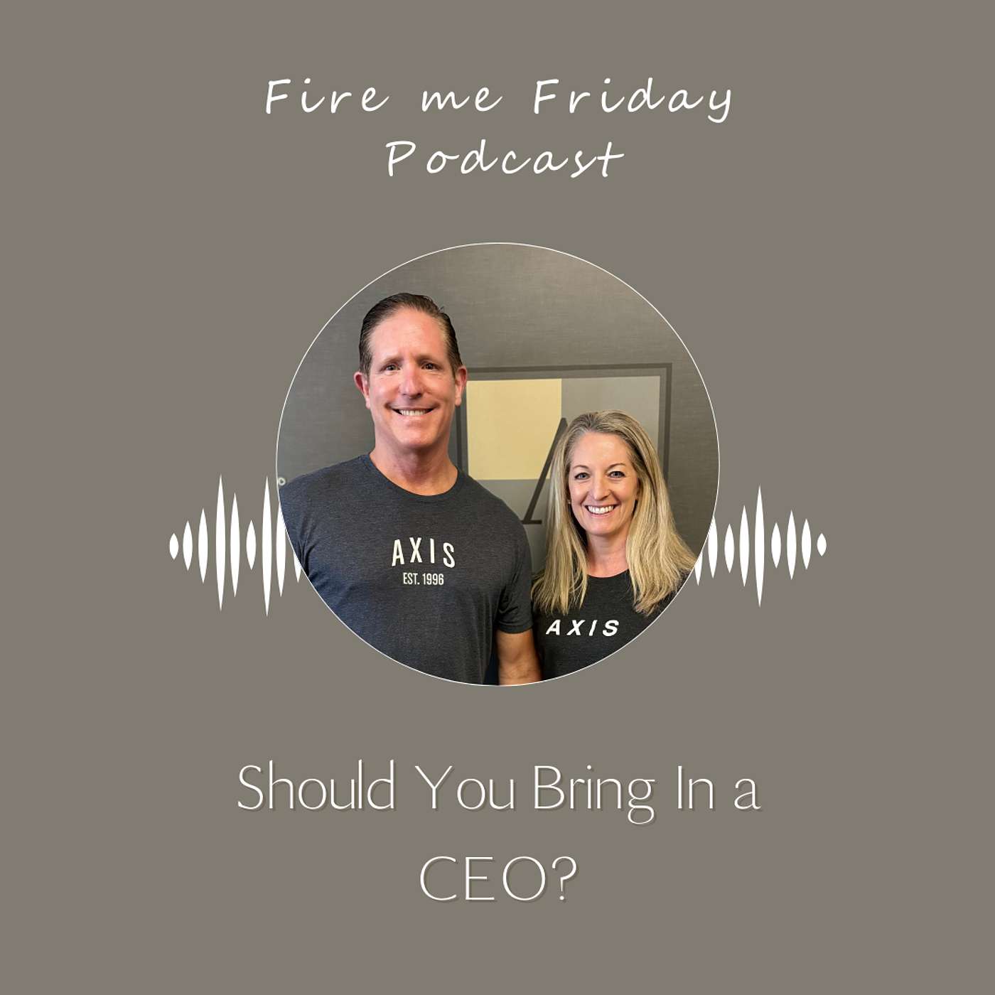 Should You Bring in a CEO? episode artwork
