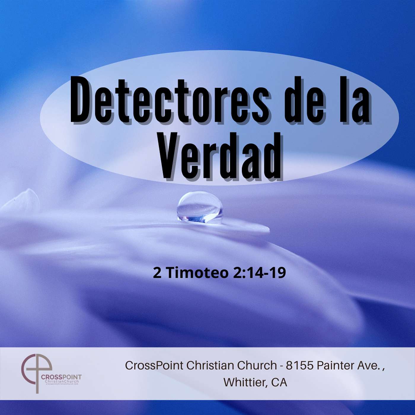 Dectectores de la Verdad