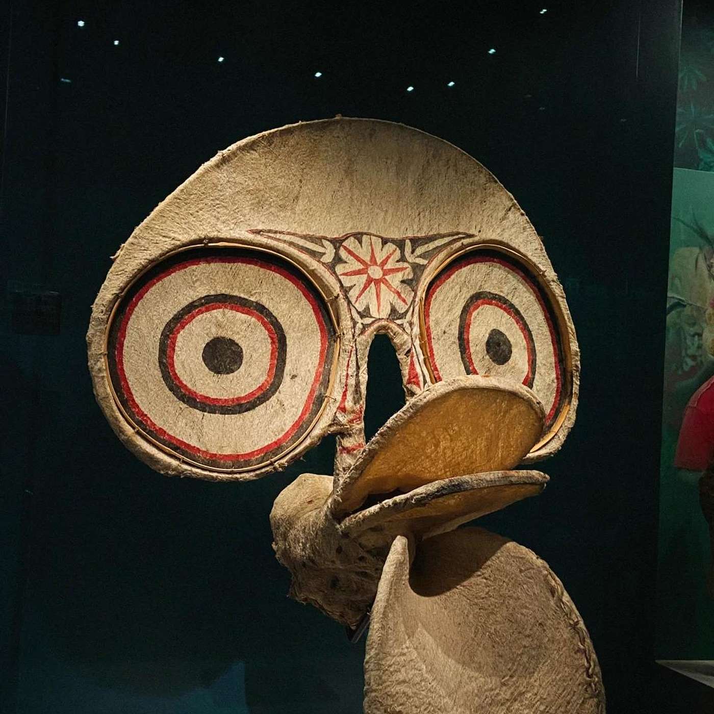 Museum Reveals Austronesian Roots in China