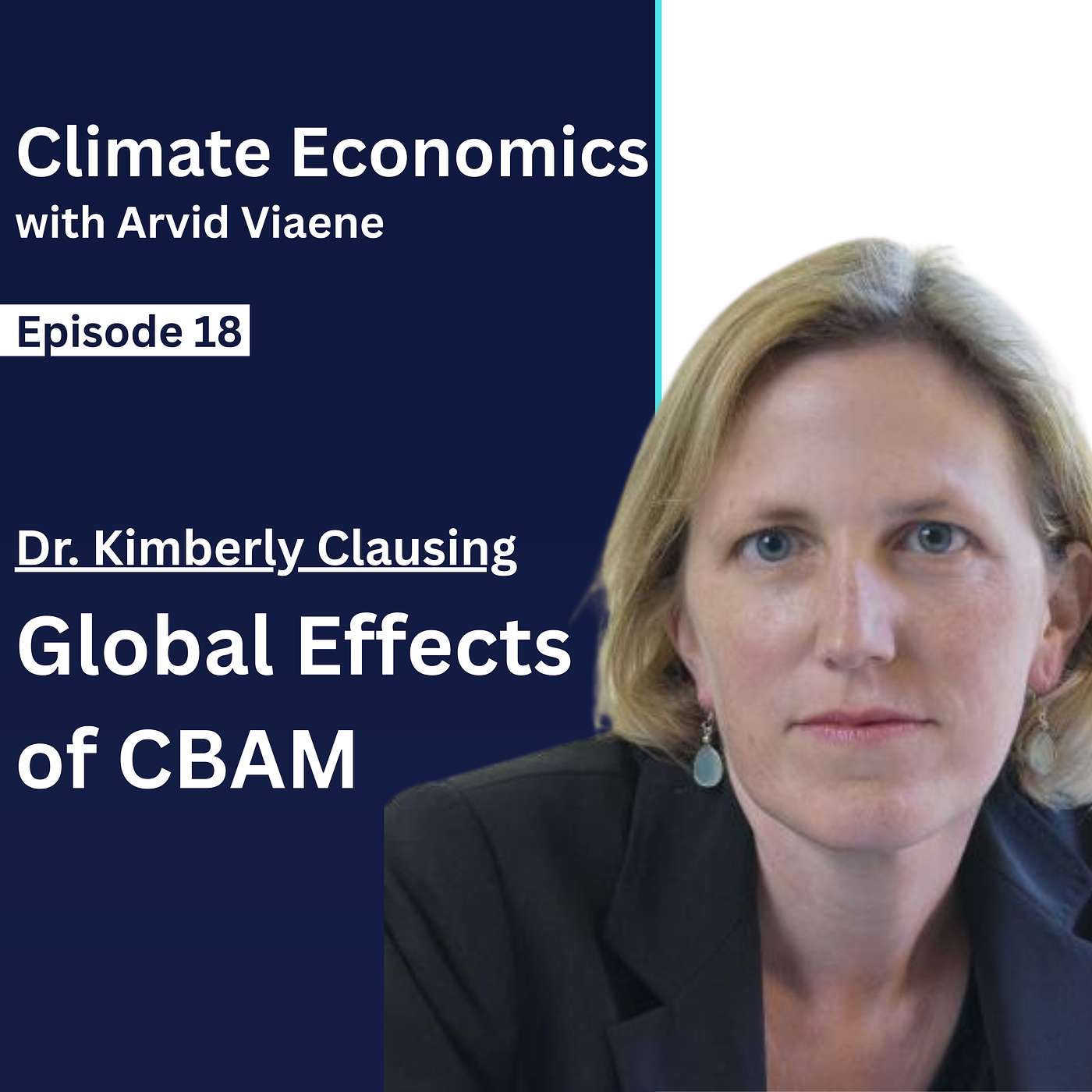 Climate Economics with Arvid Viaene
