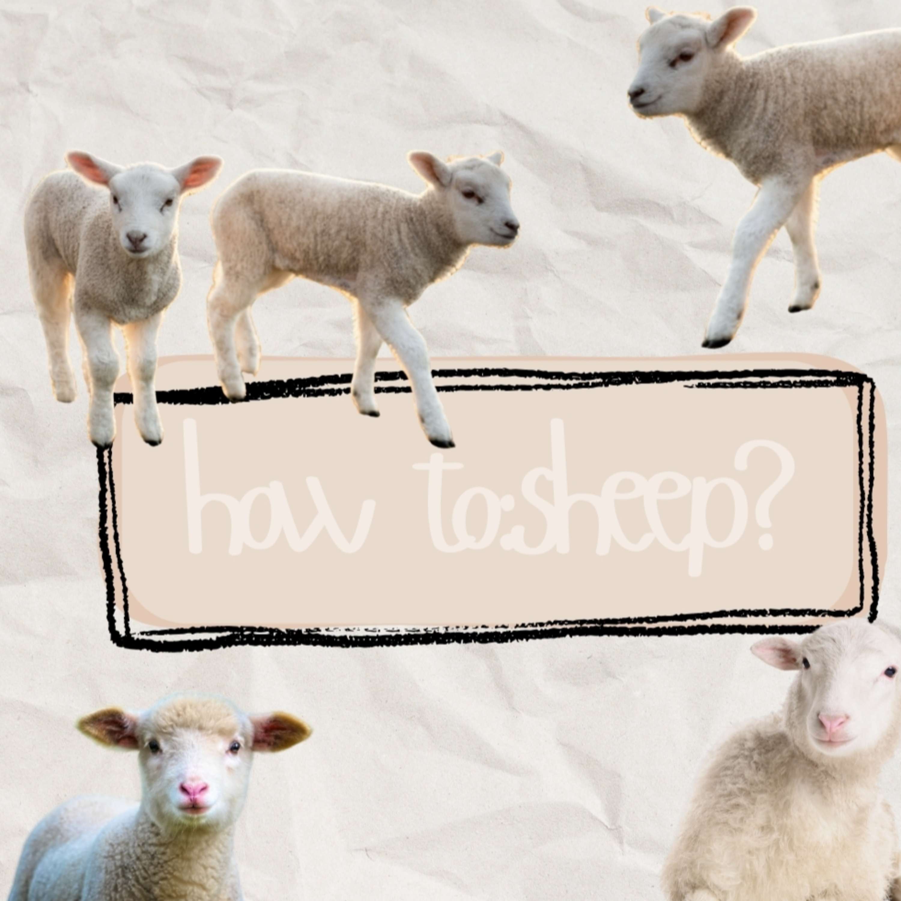 how to: sheep?