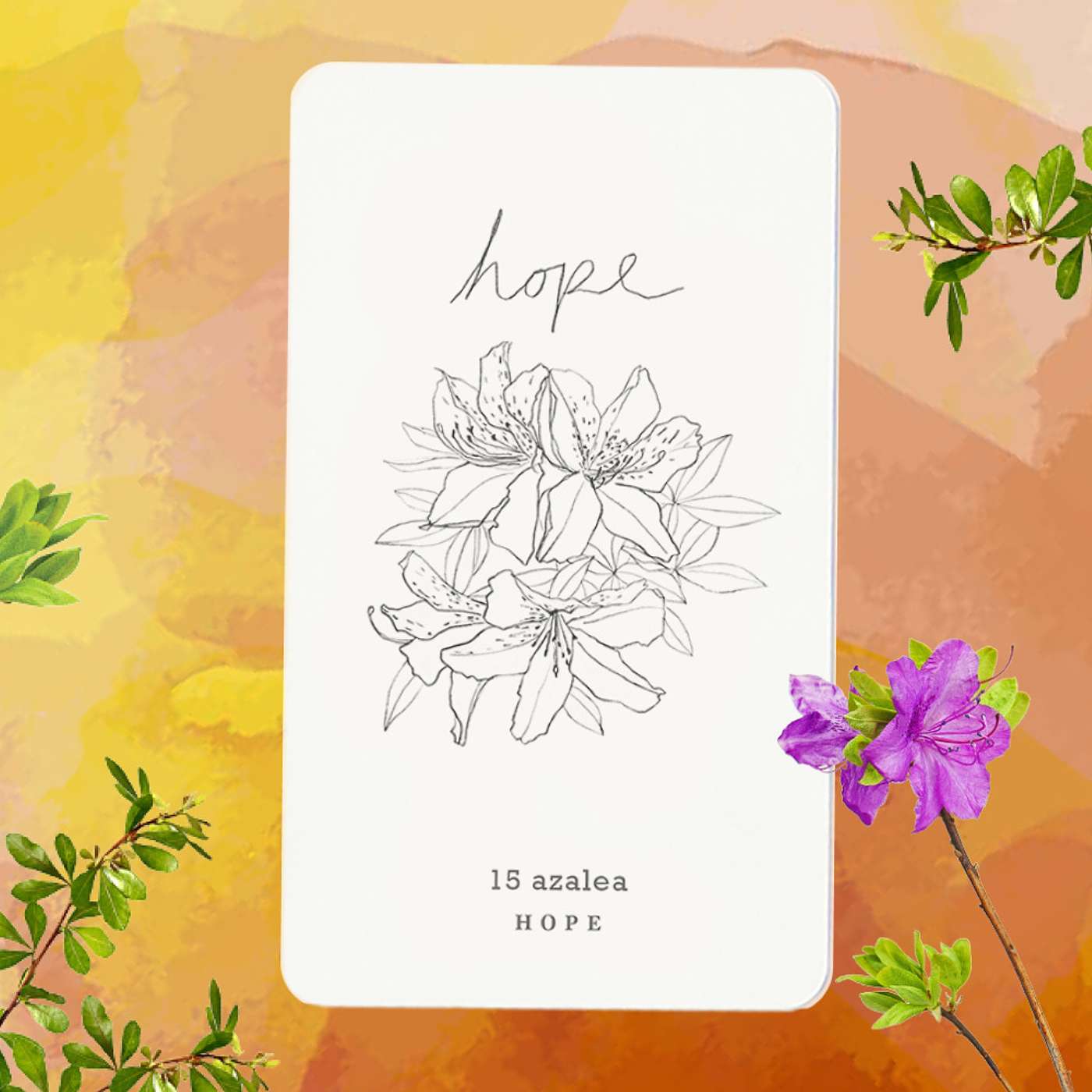 Gratitude Blooming Podcast