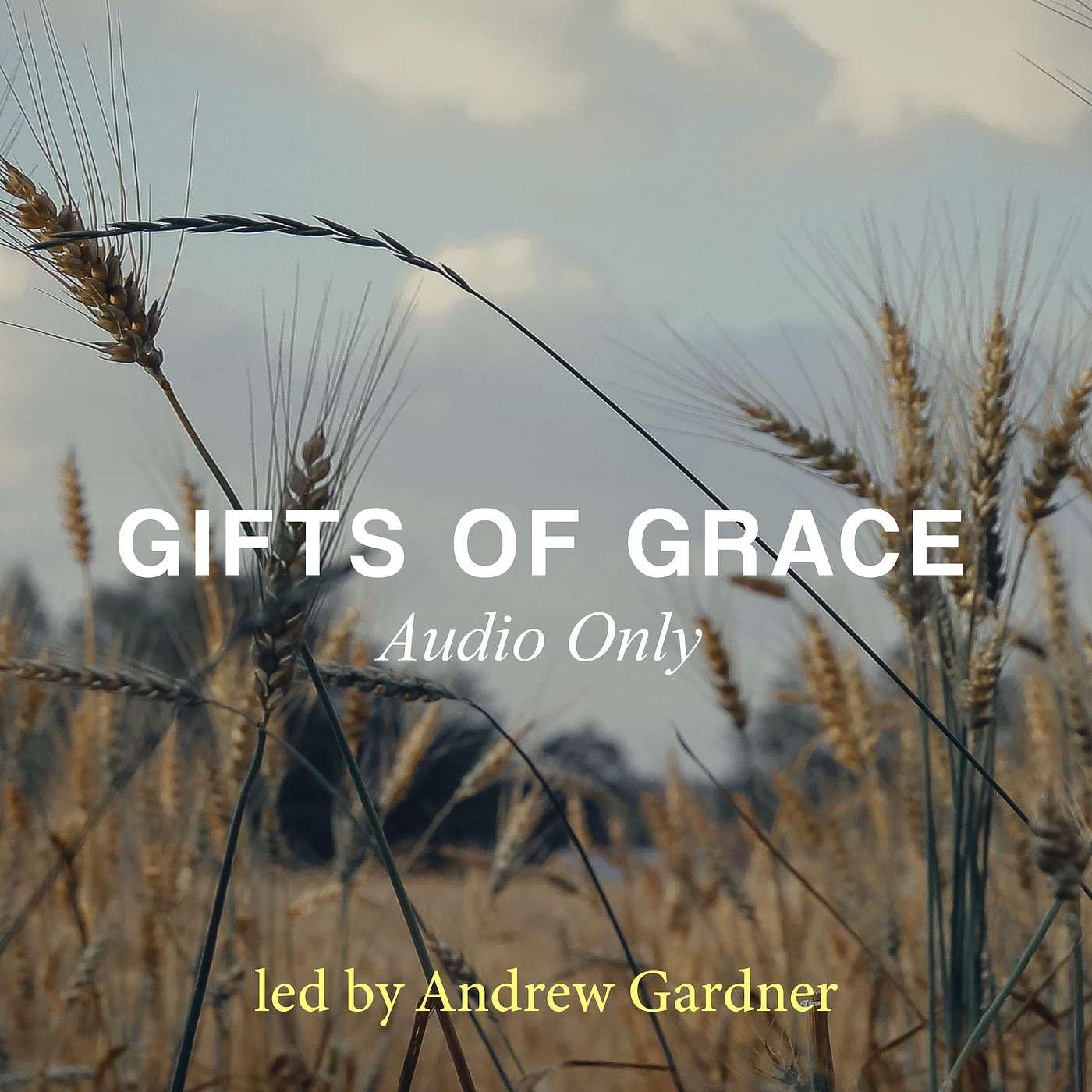 Part 5 - Gifts of Grace led by Andrew Gardner - Wednesday Life Group episode artwork