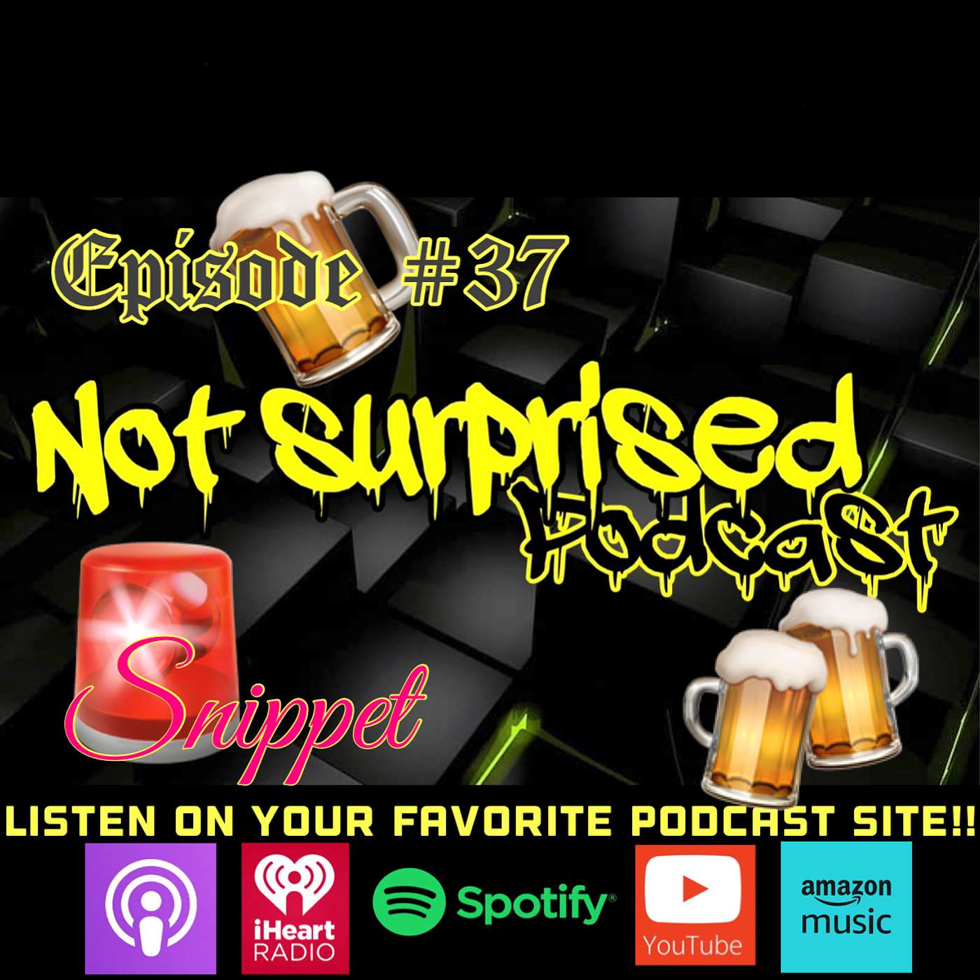 Not Surprised Podcast