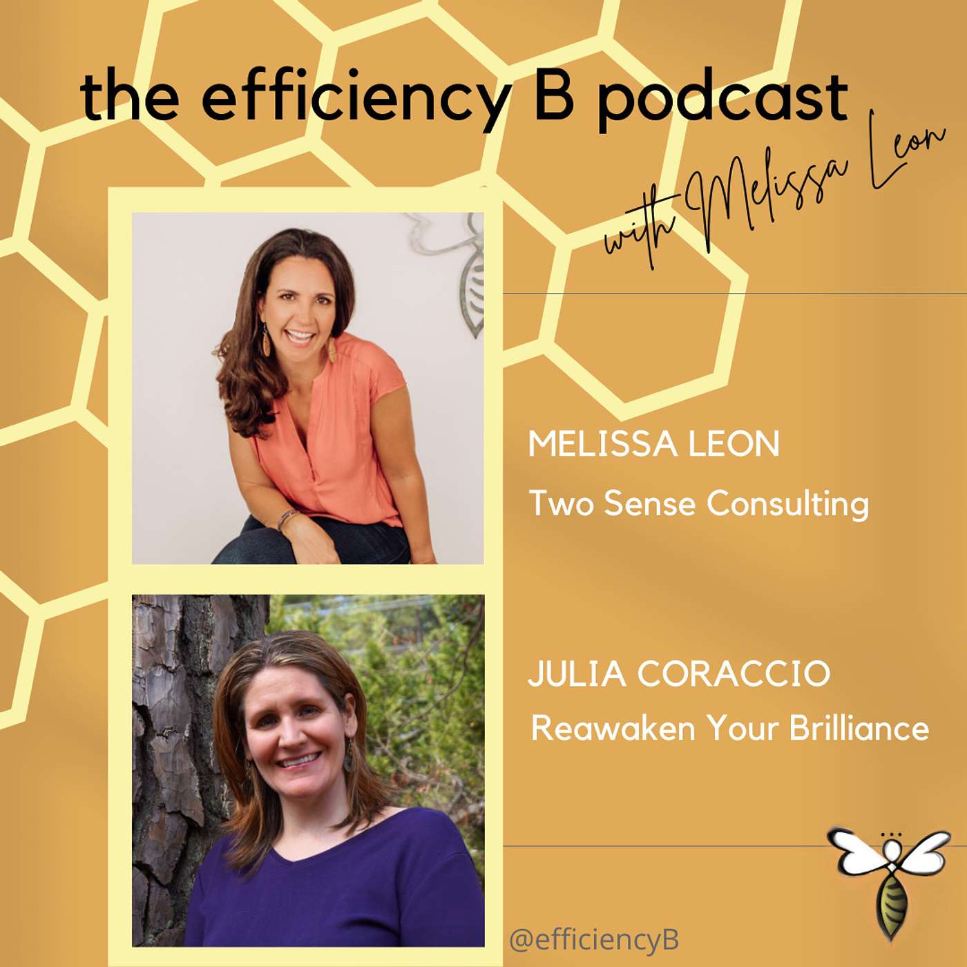 Efficiency Bitch, How Ambitious Women Can Have It All Without Doing It All - H | Happiness - Julie Coraccio