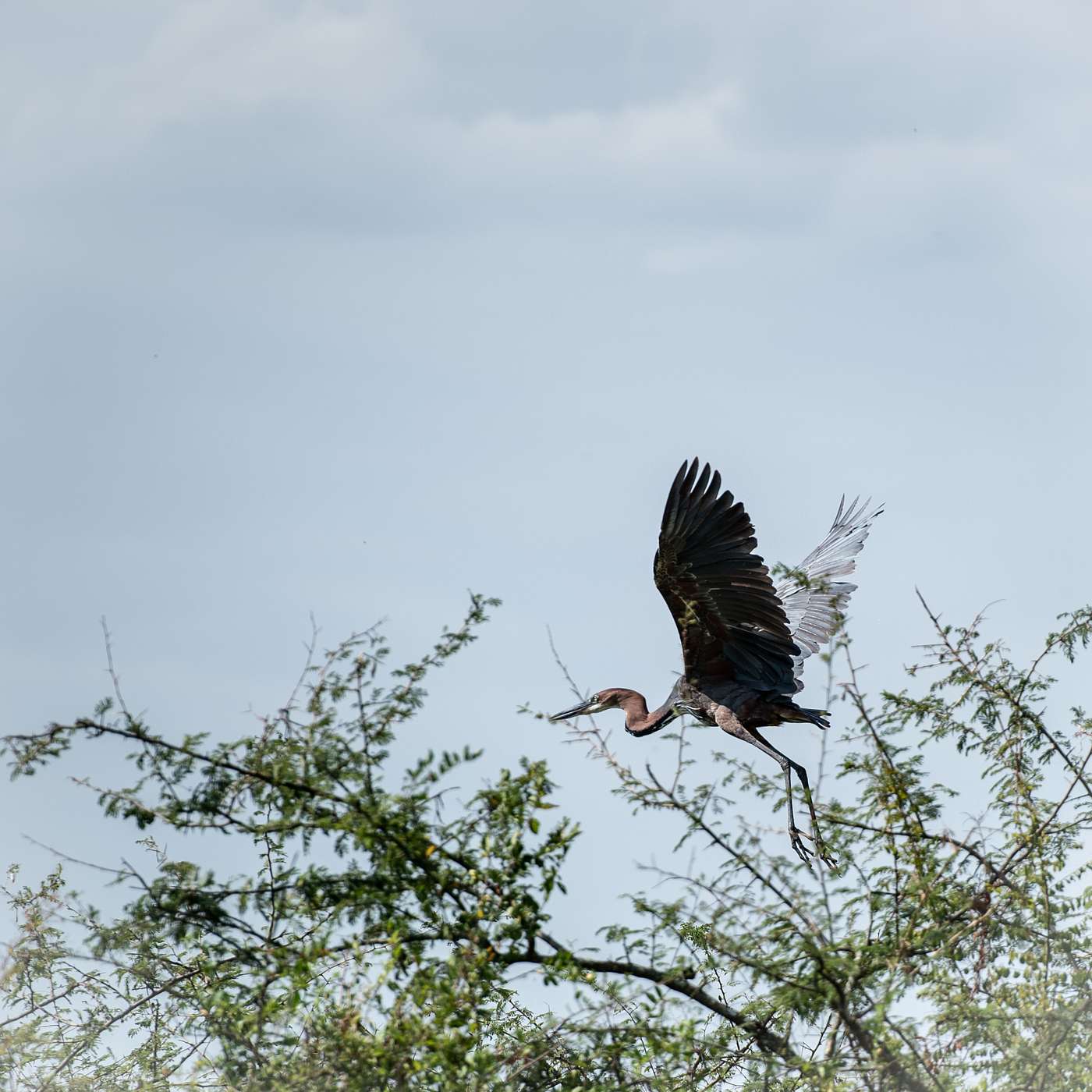 Confessions of a Recovering Micromanaging Perfectionist Martyr