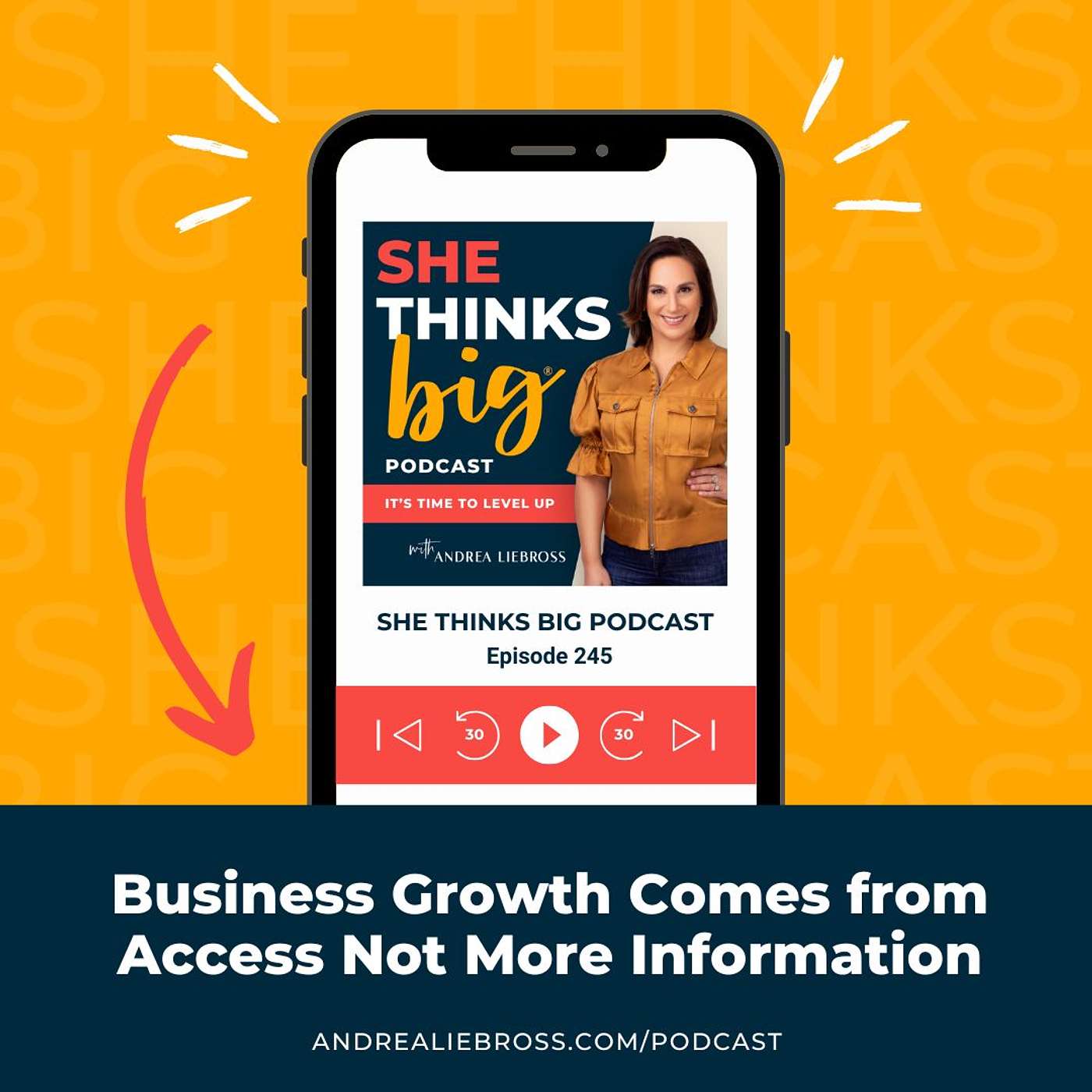 Business Growth Comes from Access Not More Information