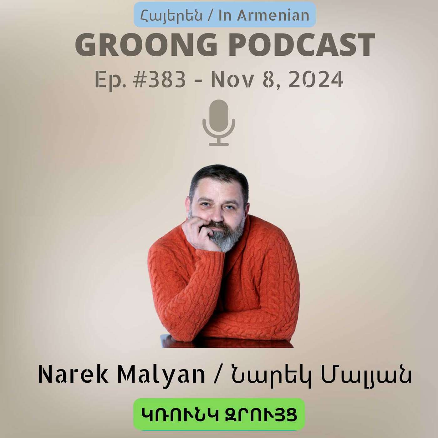 cover of episode Narek Malyan - Նարեկ Մալյանի Քաղաքական Հալածանքները, Ընտրովի Արդարադատուտյուն | Ep 383 - Nov 8, 2024