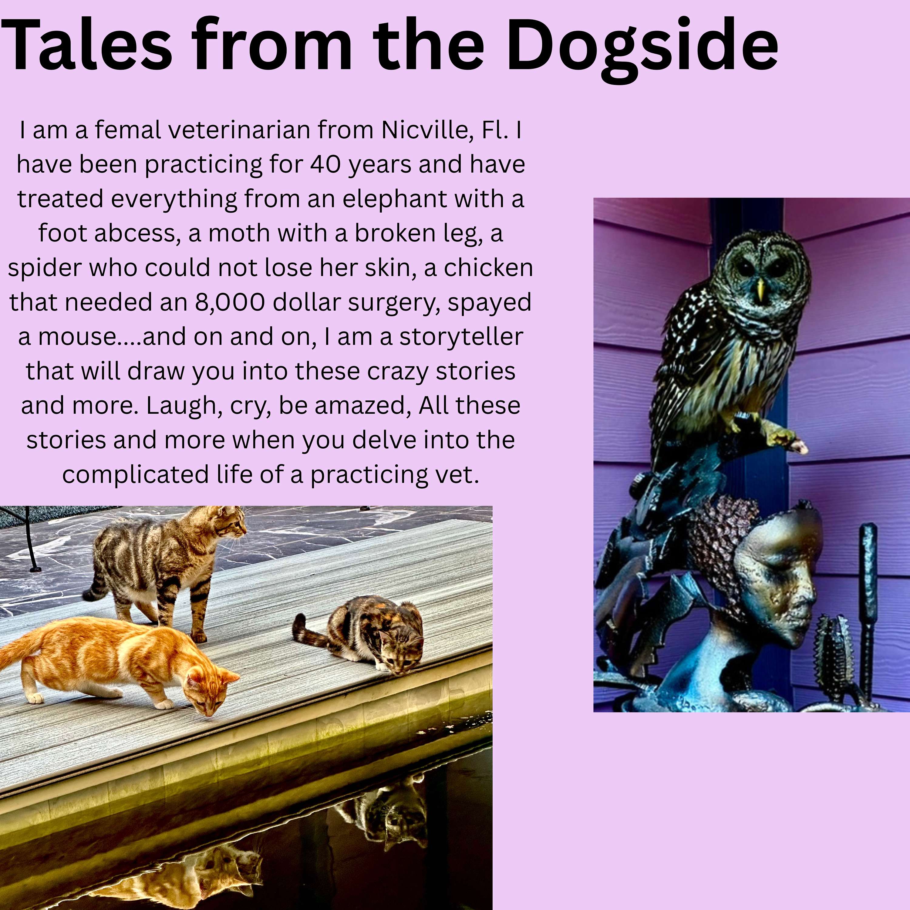 Tales from the Dogside