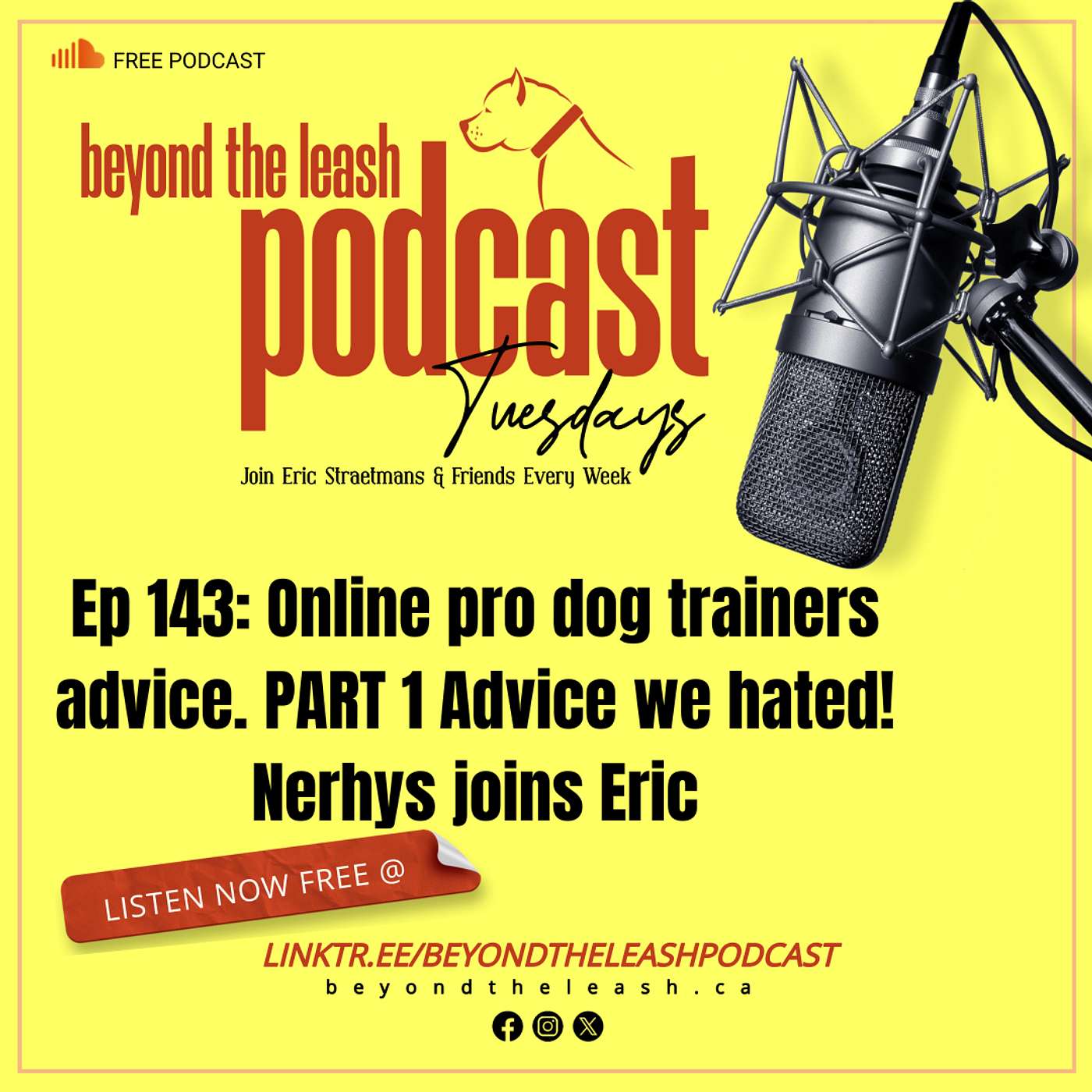 Ep 143: Online pro dog trainers advice....PART 1 Advice we hated!