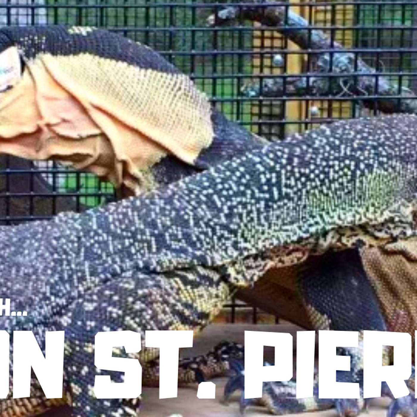 #82 RON ST.PIERRE | RARE MONITORS & SNAKES | OG REPTILE KEEPER |  TRAP TALK WITH MJ