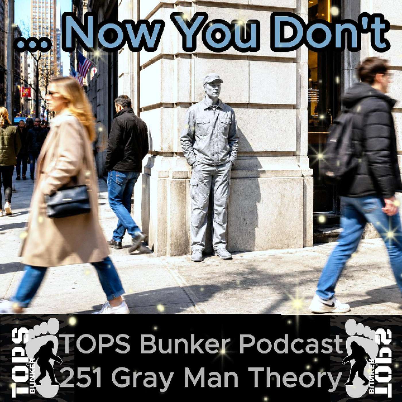 251 Now You Don't - The Gray Man Theory episode artwork
