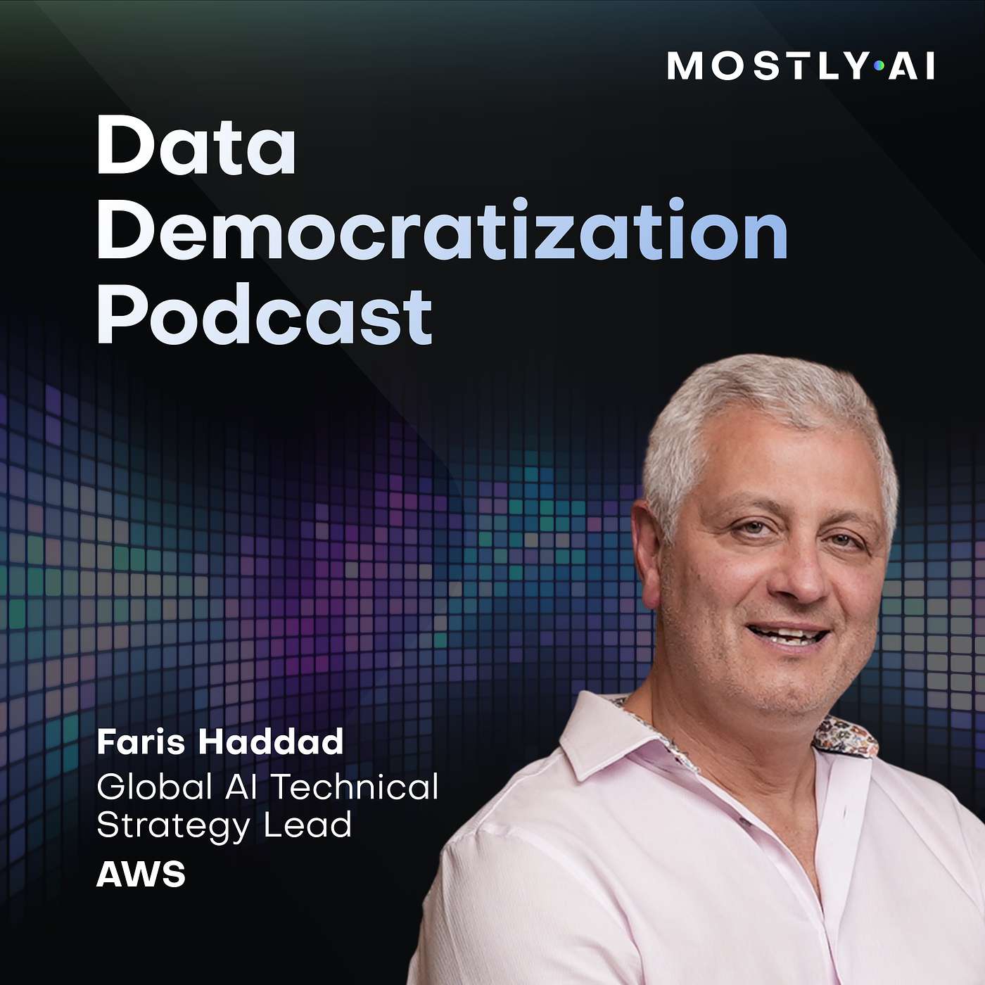 Data Democratization Podcast: Stories about AI, Data, and Privacy