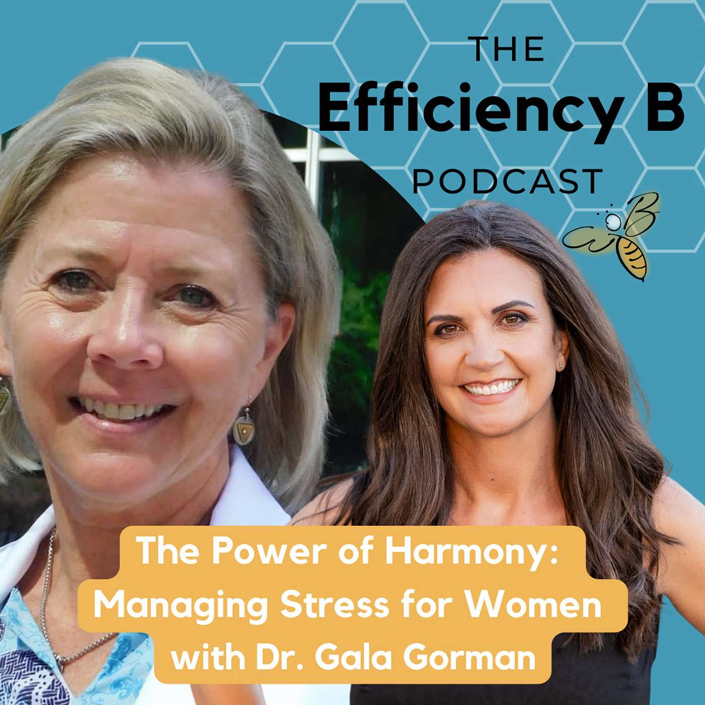 Efficiency Bitch, How Ambitious Women Can Have It All Without Doing It All