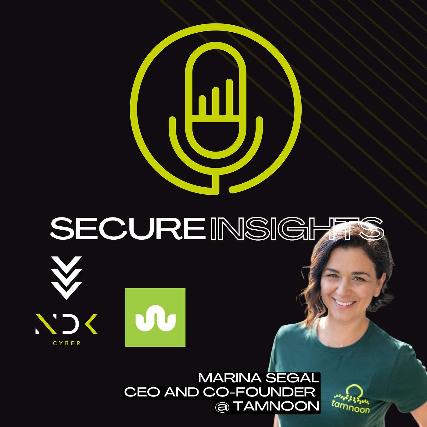Secure Insights with NDK Cyber