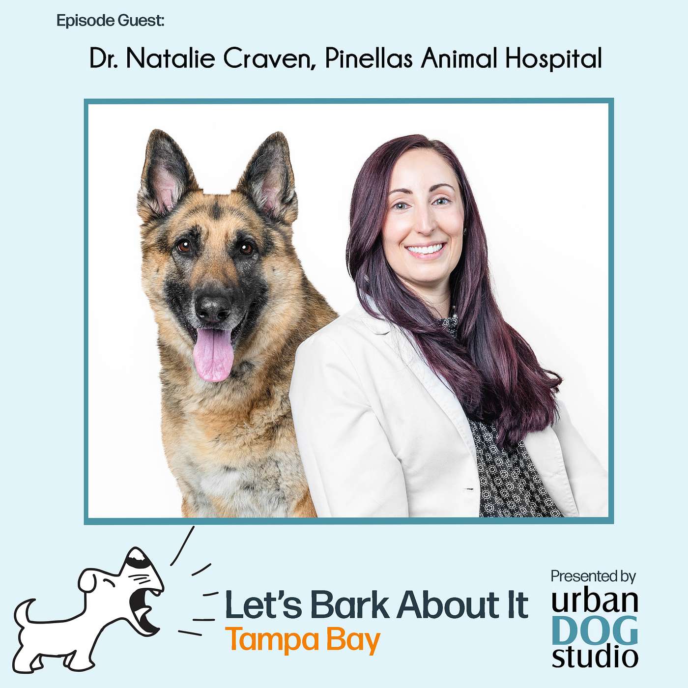 Let\'s Bark About It Tampa Bay!