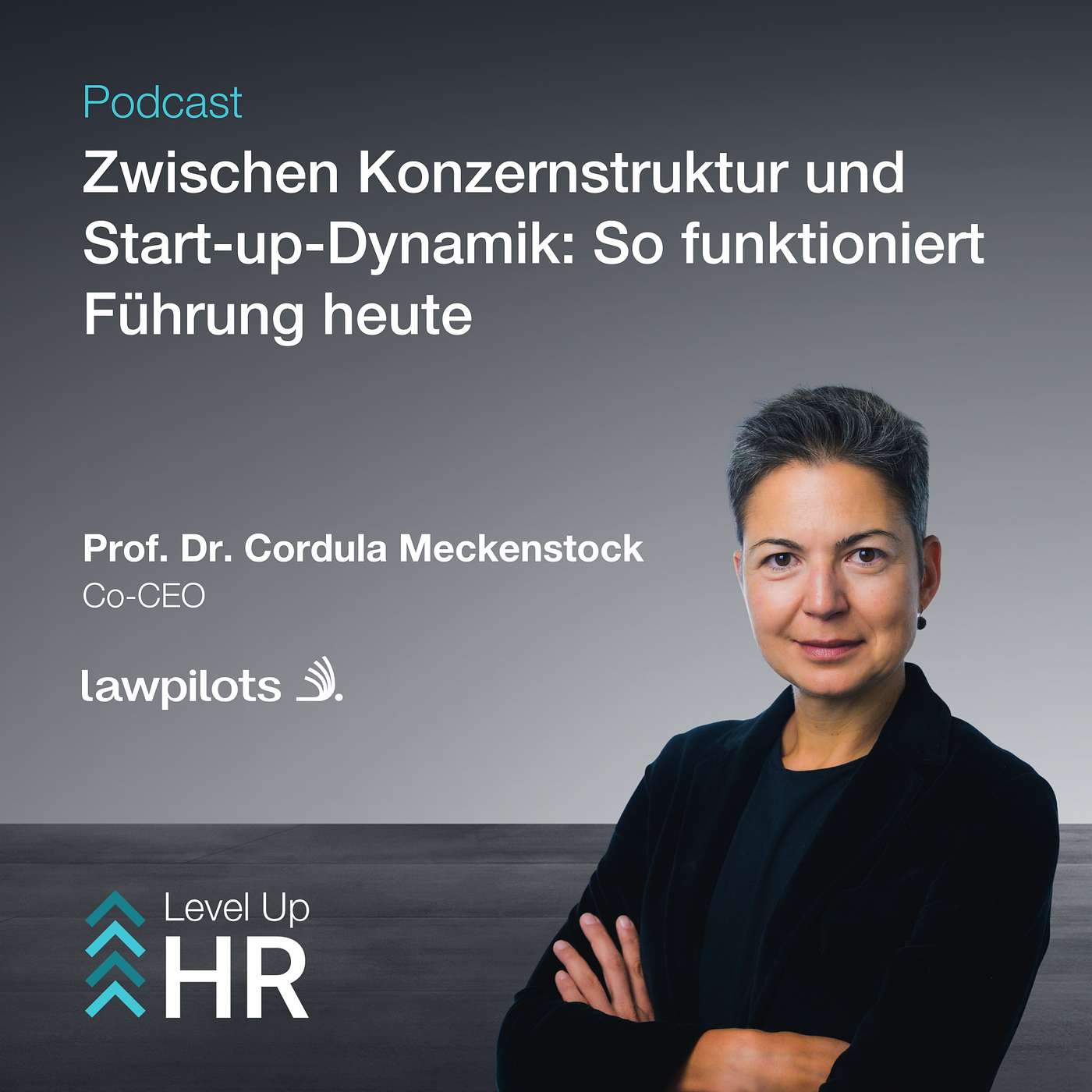 Level Up HR
