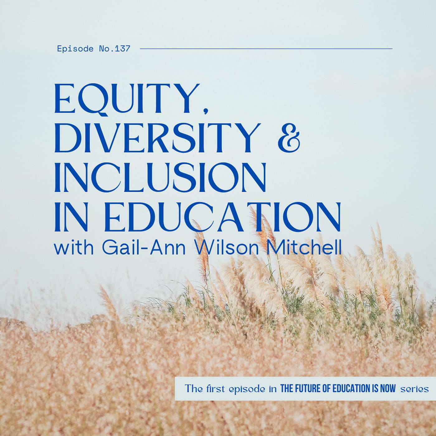 Equity, Diversity and Inclusion in Education with Gail-Ann Wilson Mitchell