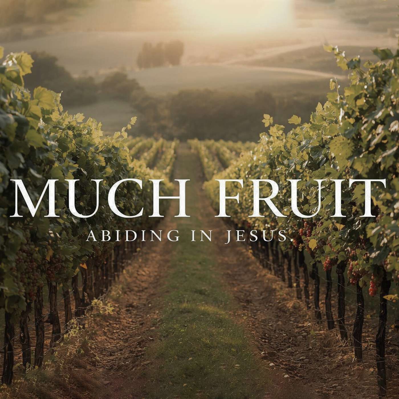 The Branch's Role in Much Fruit