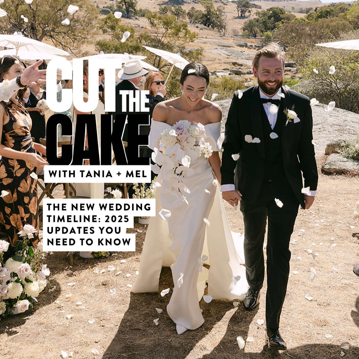 Cut the Cake