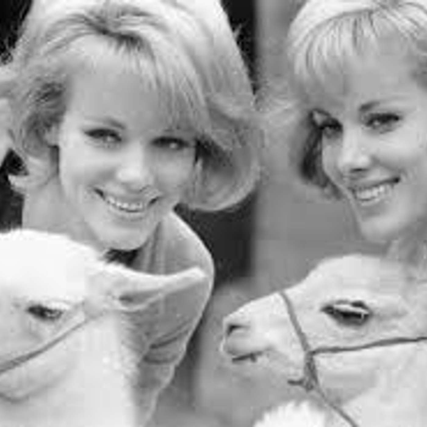 Omaggio alle Gemelle Kesller... e al cane Yello   di Lucia Orlandi e Mara Generali