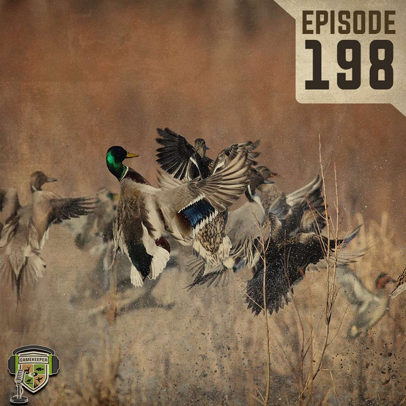 EP:198 | Dabbling Ducks