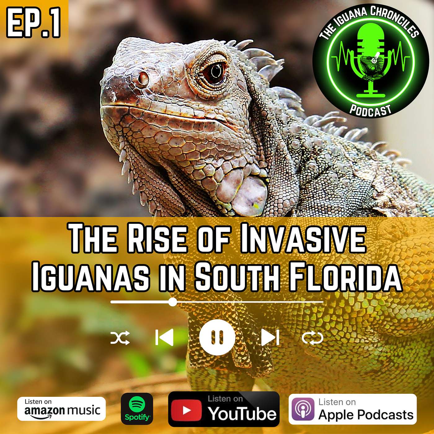 The Iguana Chronicles Podcast