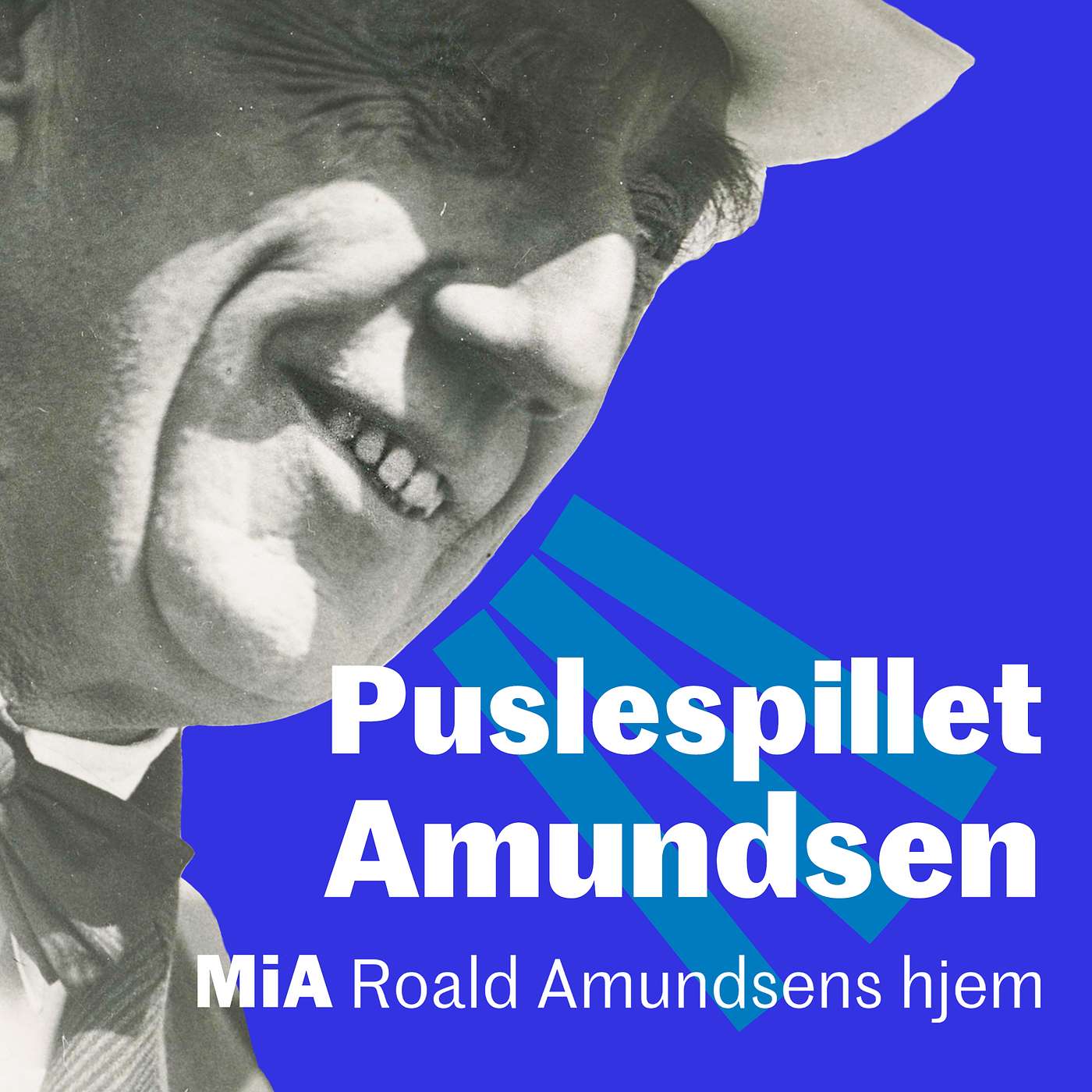 Puslespillet Amundsen