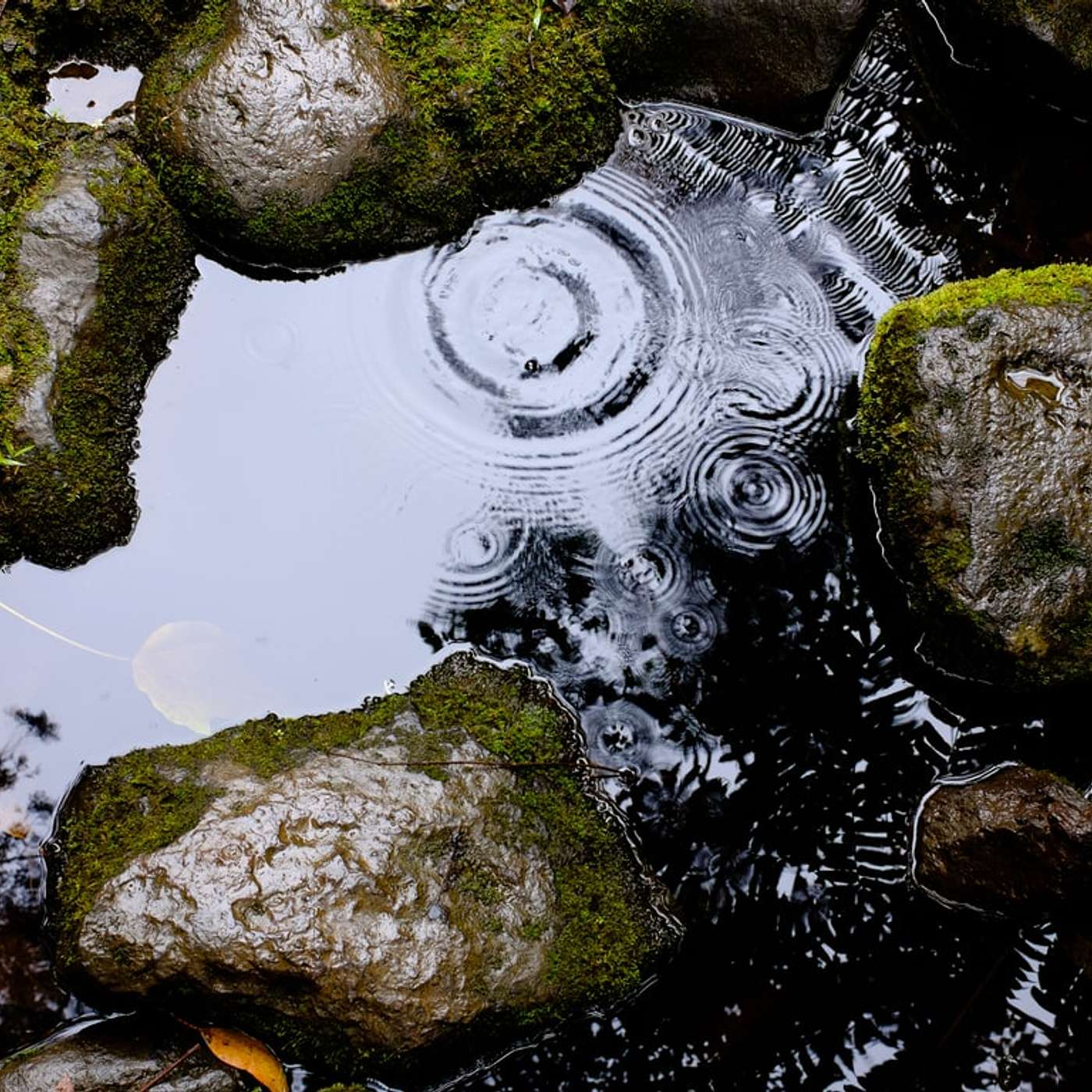 Sunday Service Podcast November 14th – The Other Side of Transformation