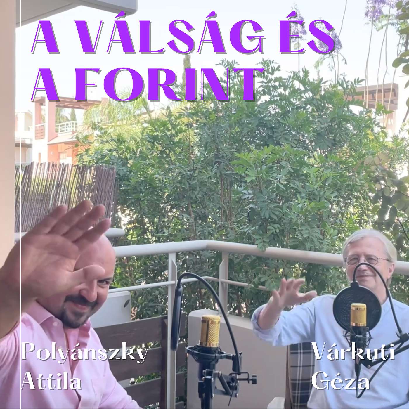 Vlog Május 30.-án | A válság és a forint episode artwork