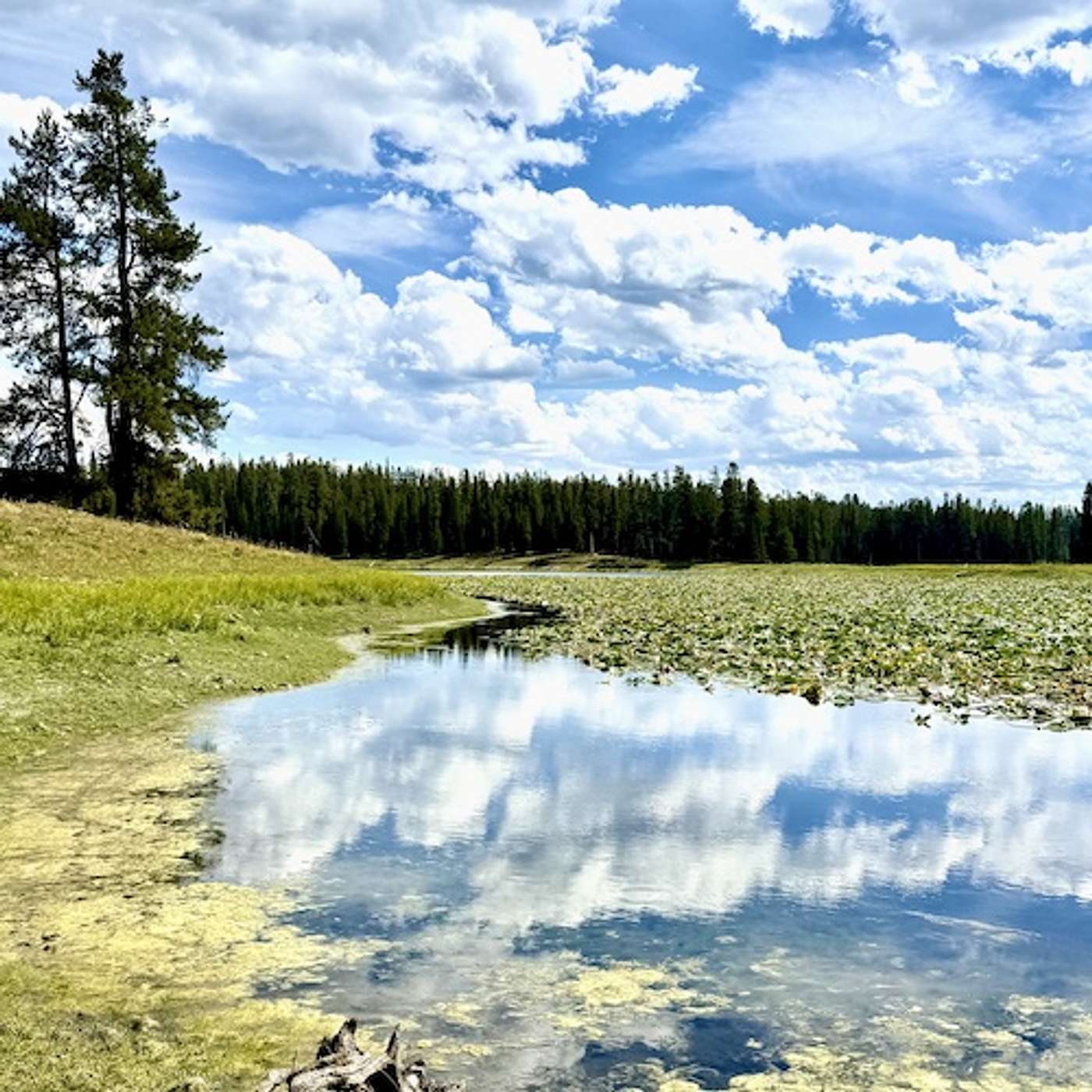 Westminster Talking the Text