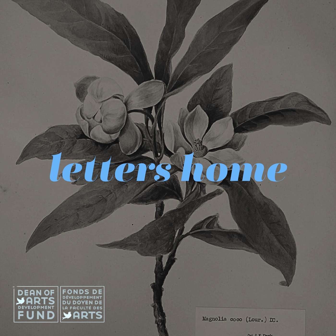 Letters Home