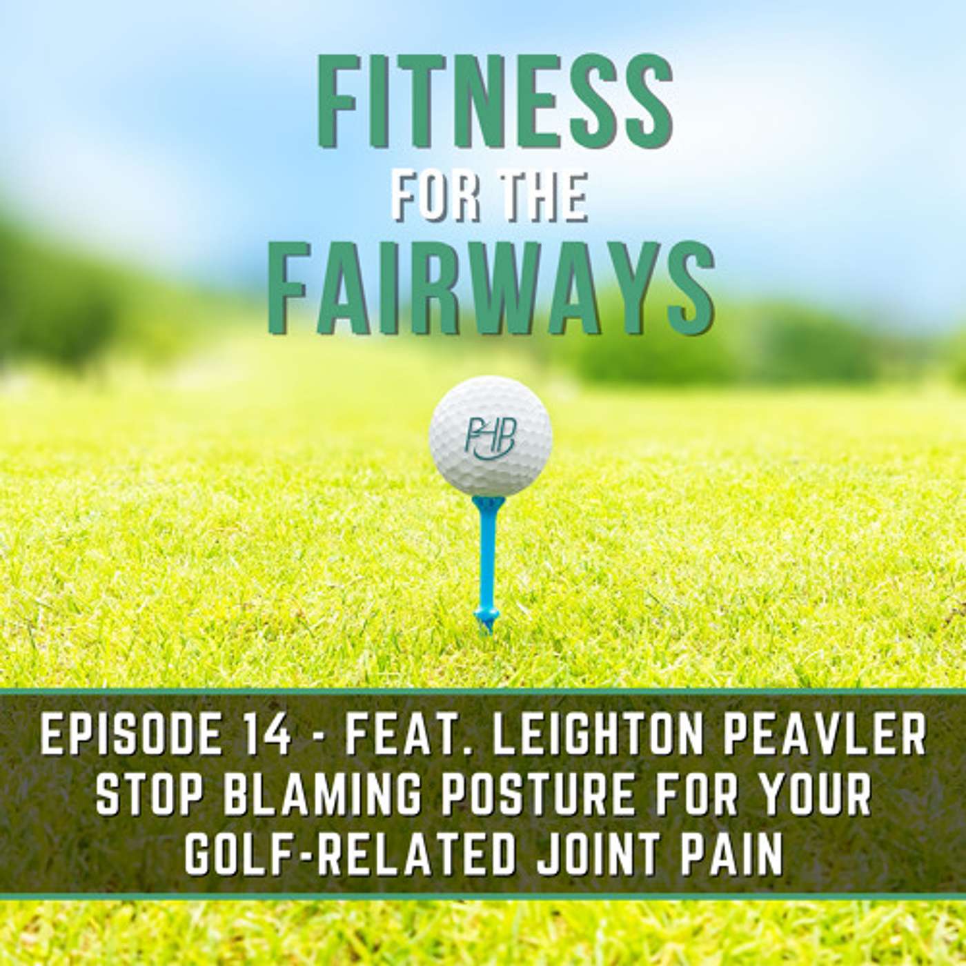 Episode 14 - Stop Blaming Posture for Your Golf-Related Joint Pain episode artwork