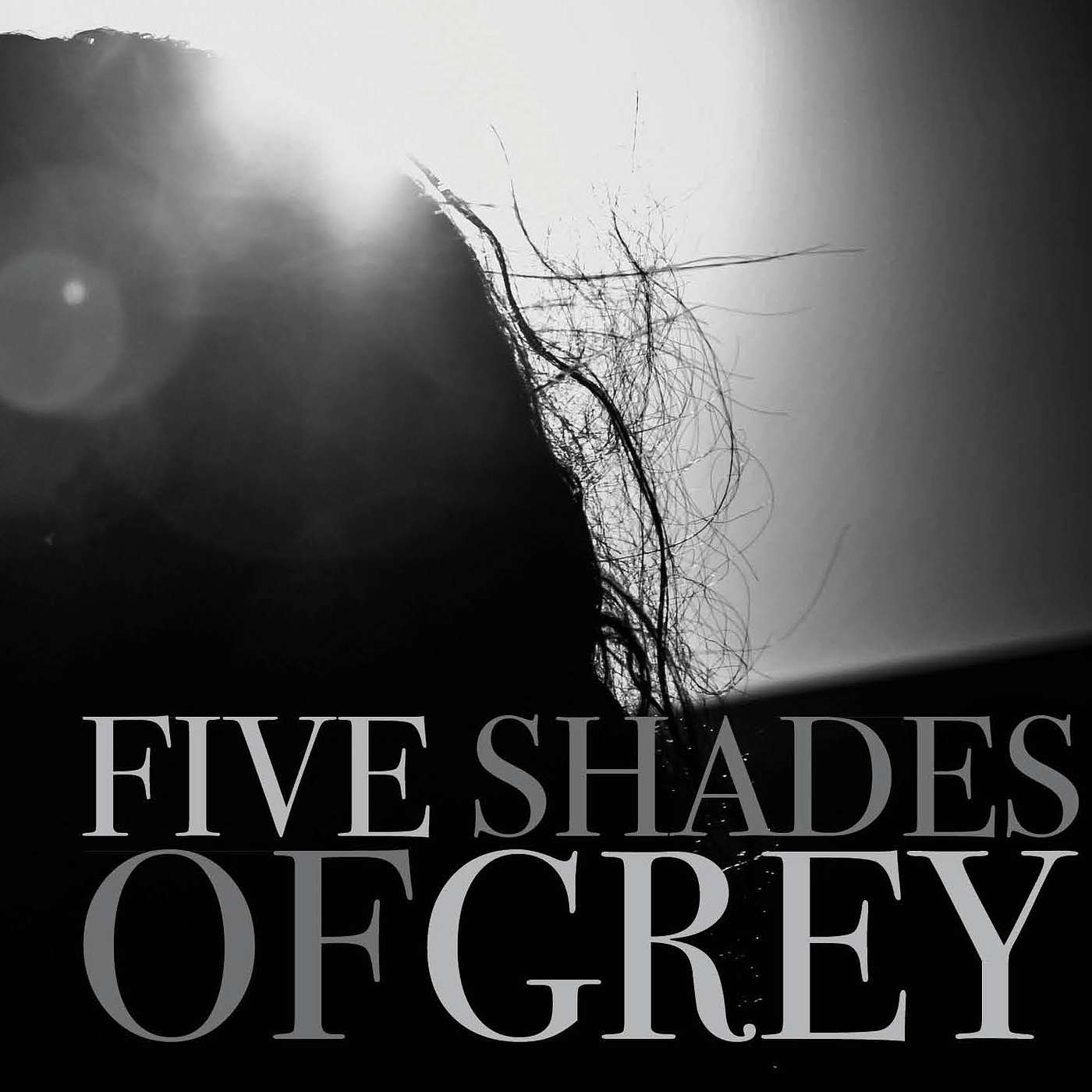 Five Shades of Grey: Pornography