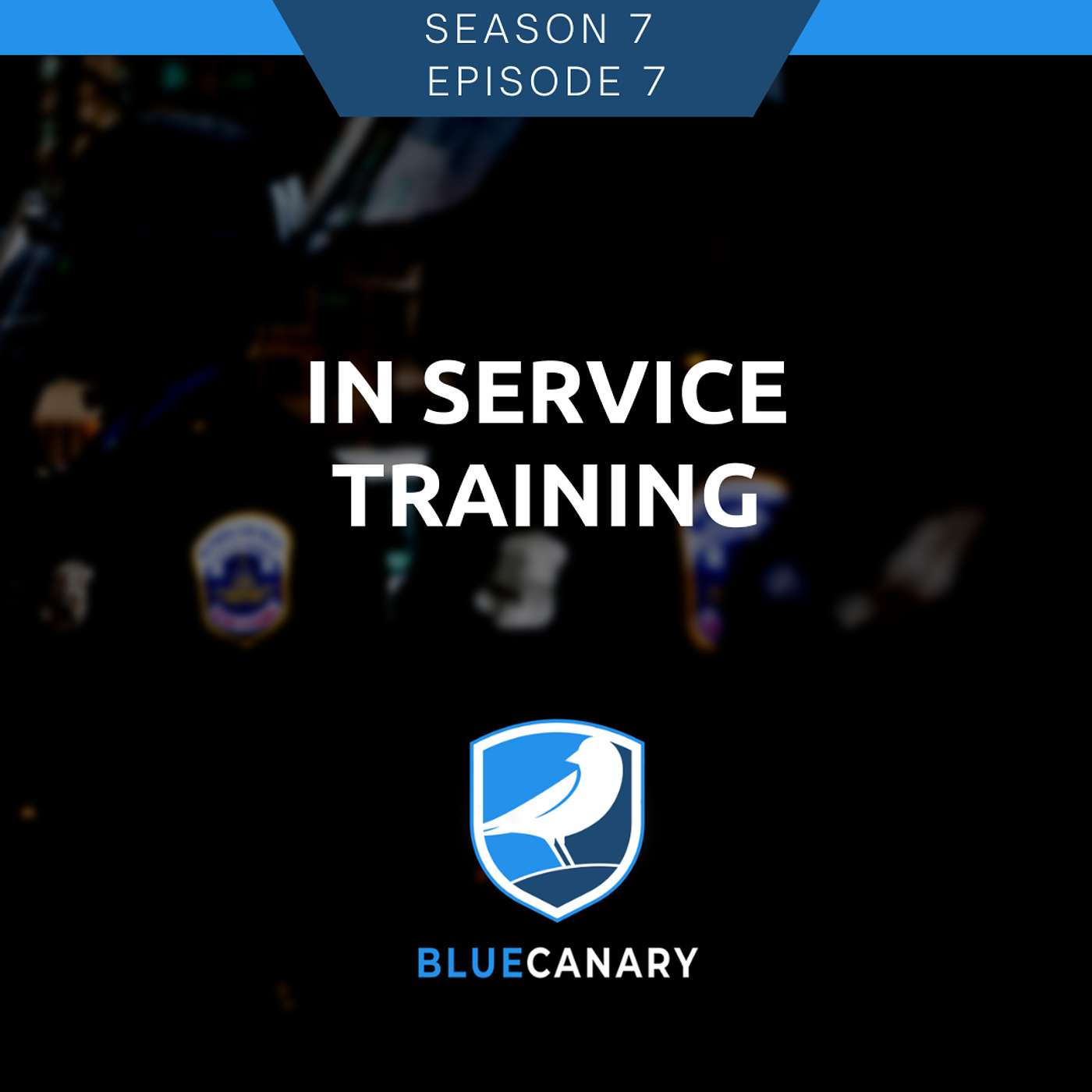 In-Service Training