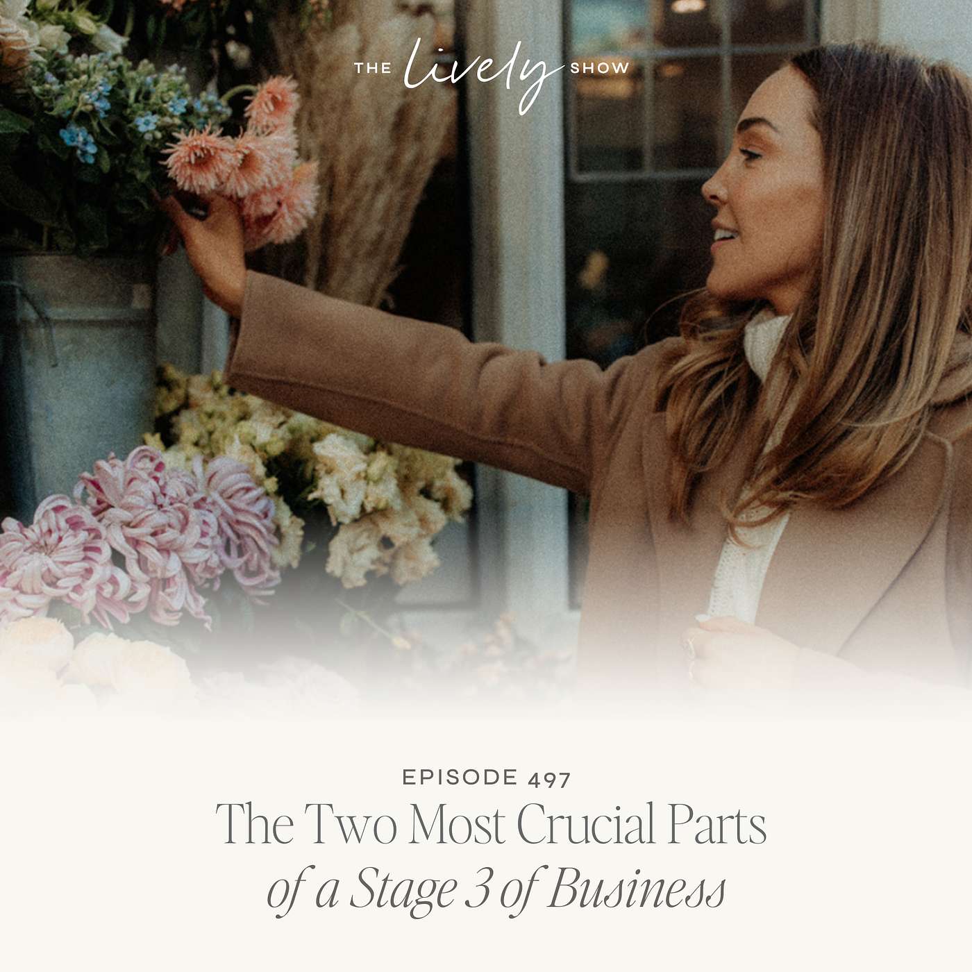 TLS 497 The Two Most Crucial Parts of a Stage 3 of Business