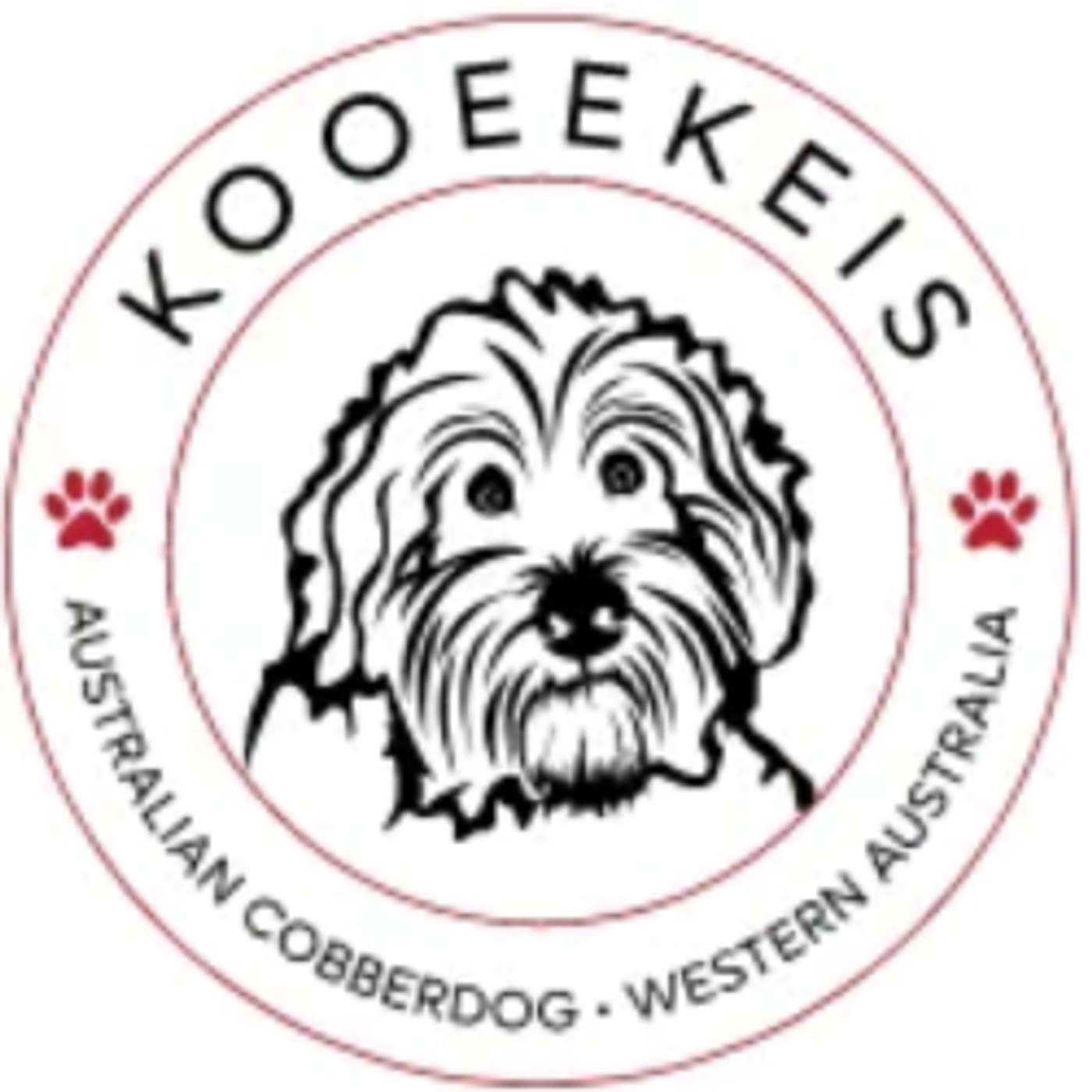 Australian Cobberdog Puppies episode artwork