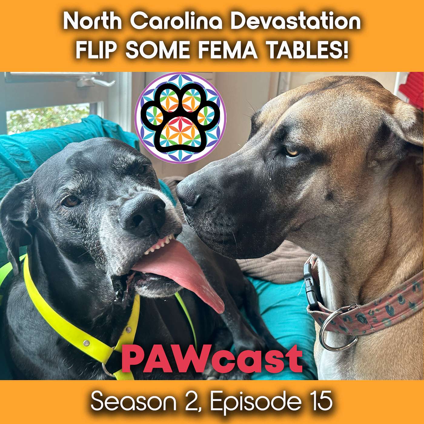 Asheville, North Carolina Devastation - FLIP SOME FEMA TABLES! episode artwork
