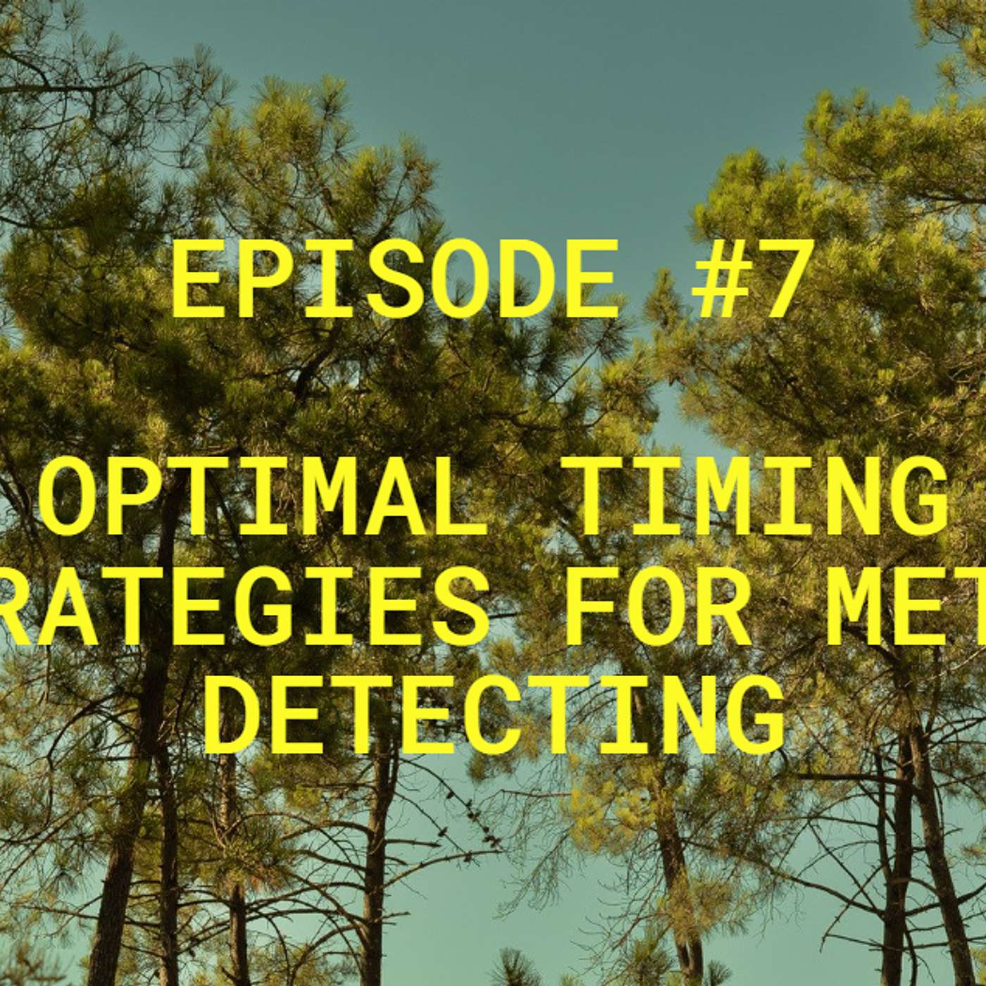 Optimal Timing Strategies for Metal Detecting