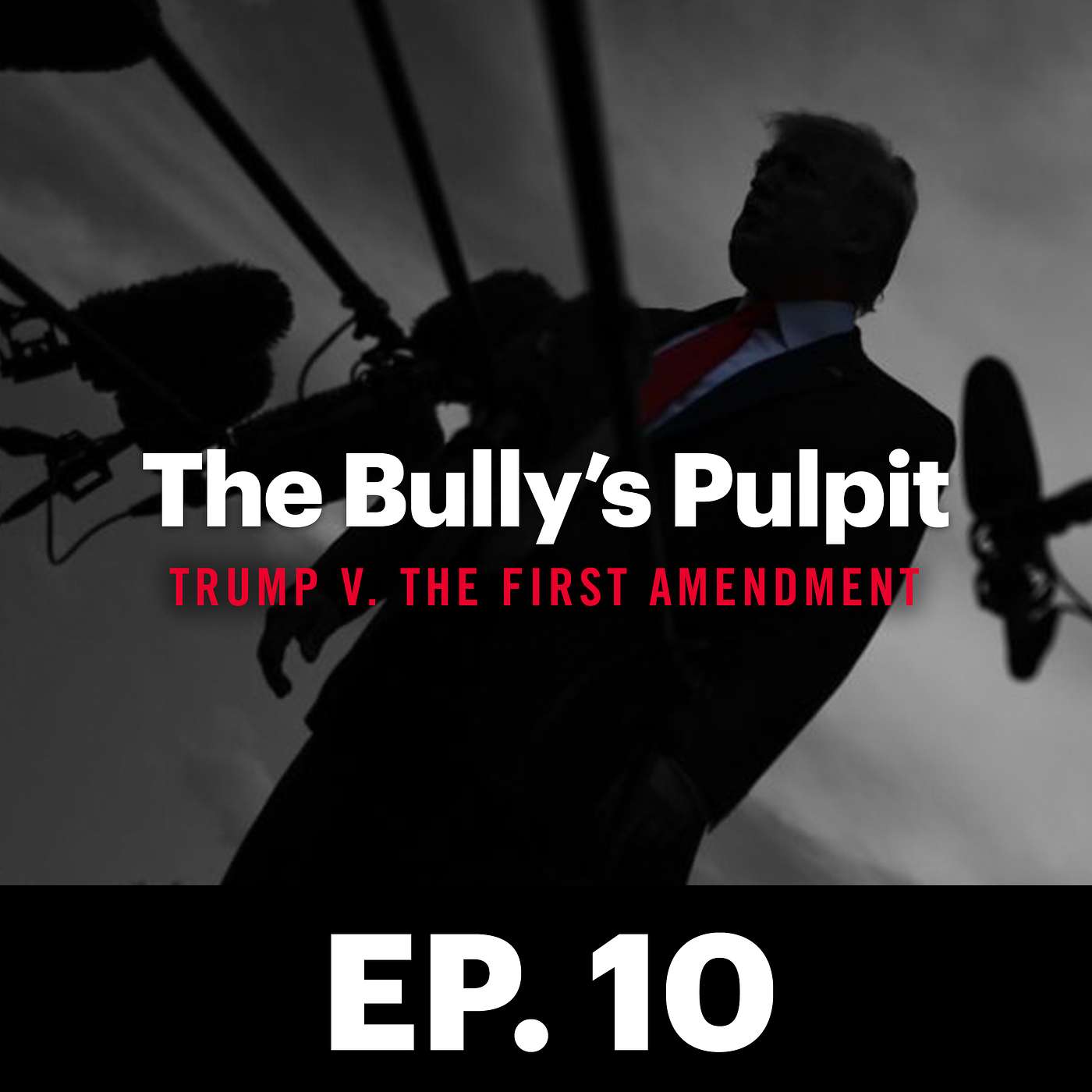 The Bully\'s Pulpit: Trump v. The First Amendment