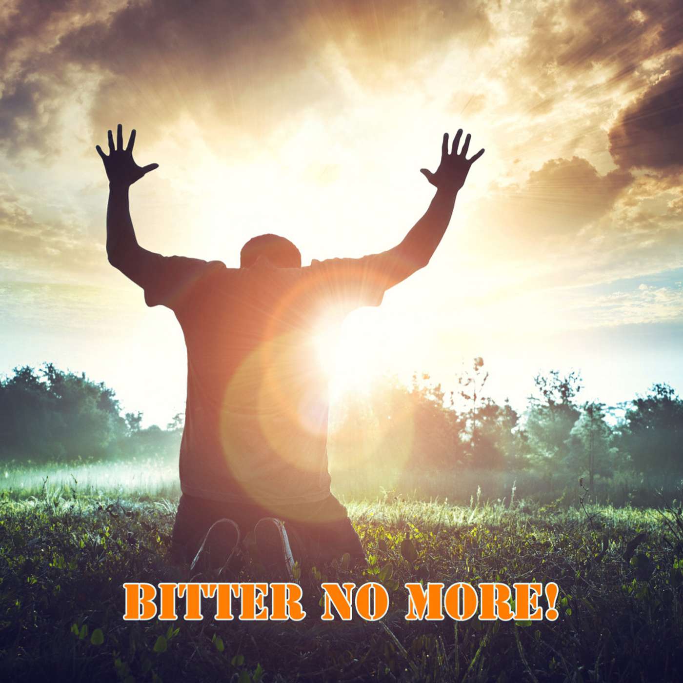 Bitter No More! episode artwork